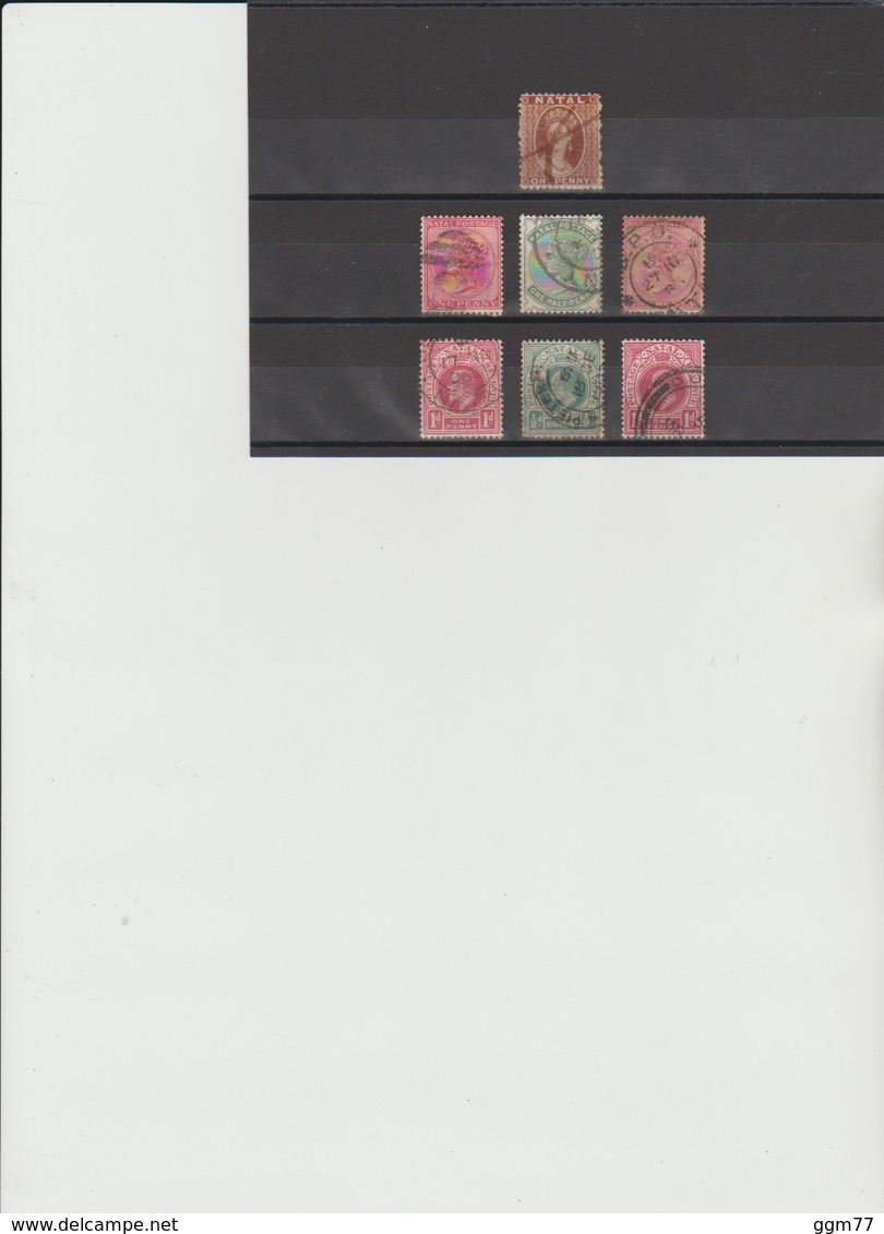 7 TIMBRES NATAL OBLITERES  DE 1859-1874-1882-1902-1904  Cote : 117,90 € - Autres - Afrique