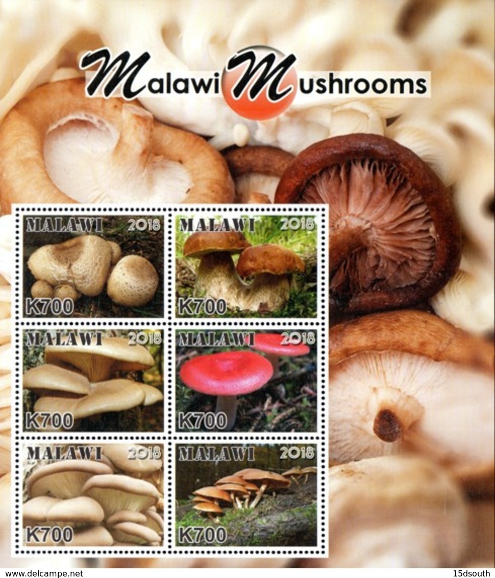 Malawi - 2018 Mushrooms Of Malawi Sheetlet (**) - Mushrooms