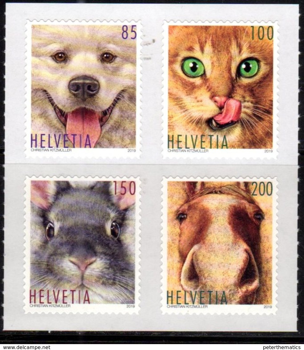 SWITZERLAND, 2019, MNH, ANIMAL FRIENDS, DOGS, CATS, HORSES, RABBITS, 4v - Cani