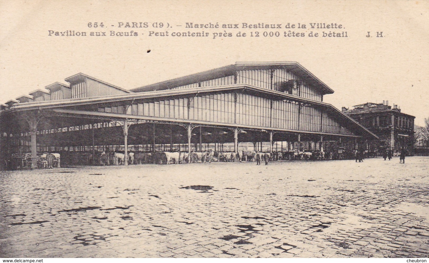 75. PARIS. CPA .RARETÉ. MARCHE AUX BESTIAUX DE LA VILLETTE. PAVILLON AUX BOEUFS. - Arrondissement: 19