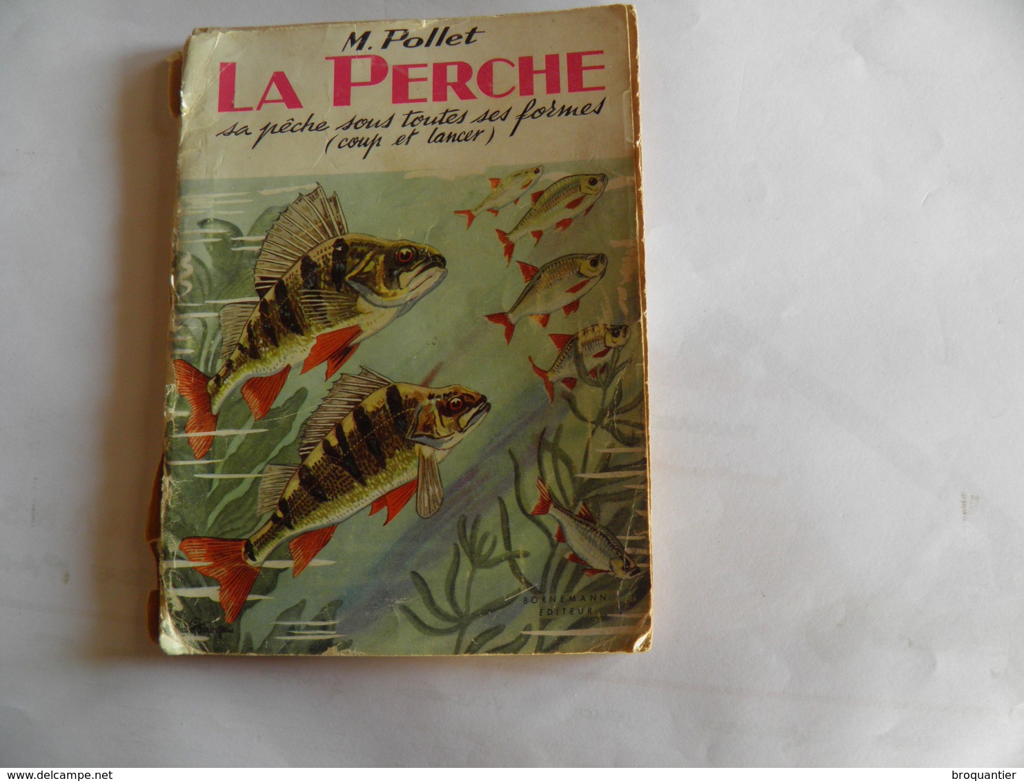 La Perche, Sa Pêche Sous Toutes Ses Formes (coups Et Lancer) - Chasse/Pêche