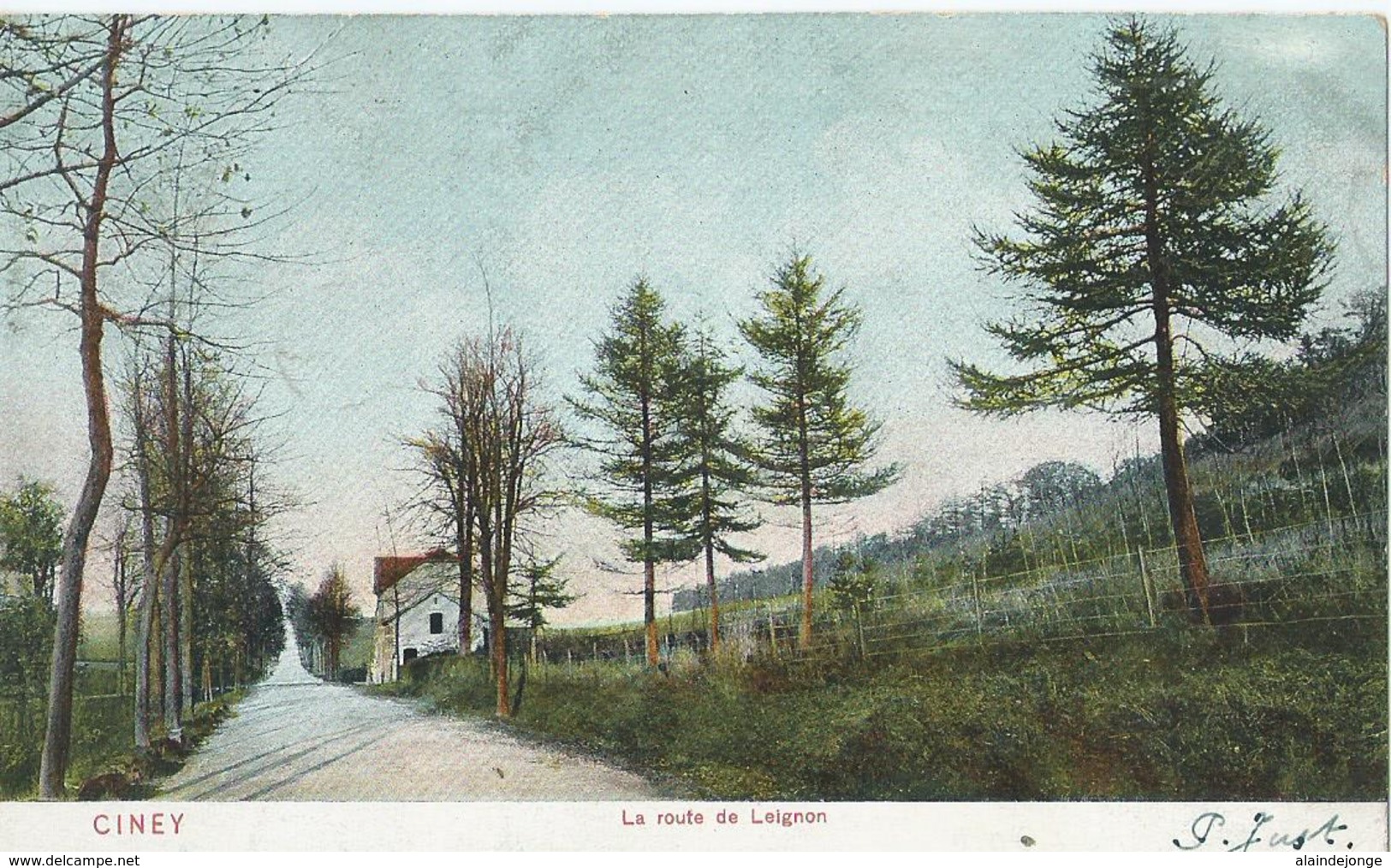 Ciney - La Route De Leignon - D.T.C. Anvers 1905 - Cin. 2 - 1909 - Ciney