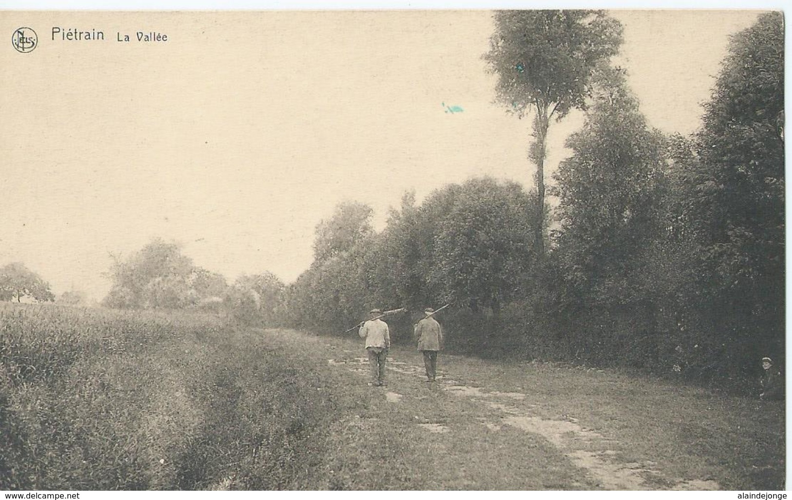 Geldenaken Piétrain - La Vallée - Photo Auguste Hoo, Gembloux - Geldenaken