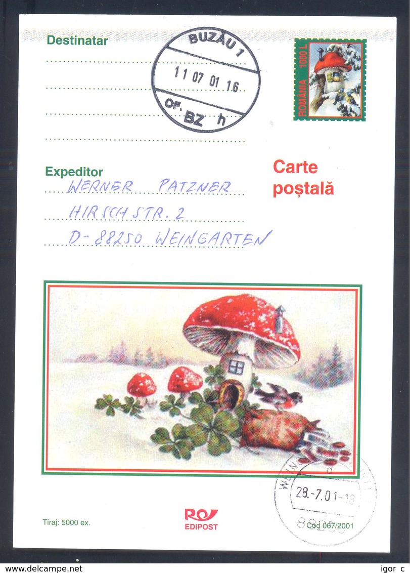 Romania 2001 Postal Stationery Card: Flora Mushroom Pilz Champignon Fungi; Red Mushrum; Birds Vogel Oiseaux; - Pilze