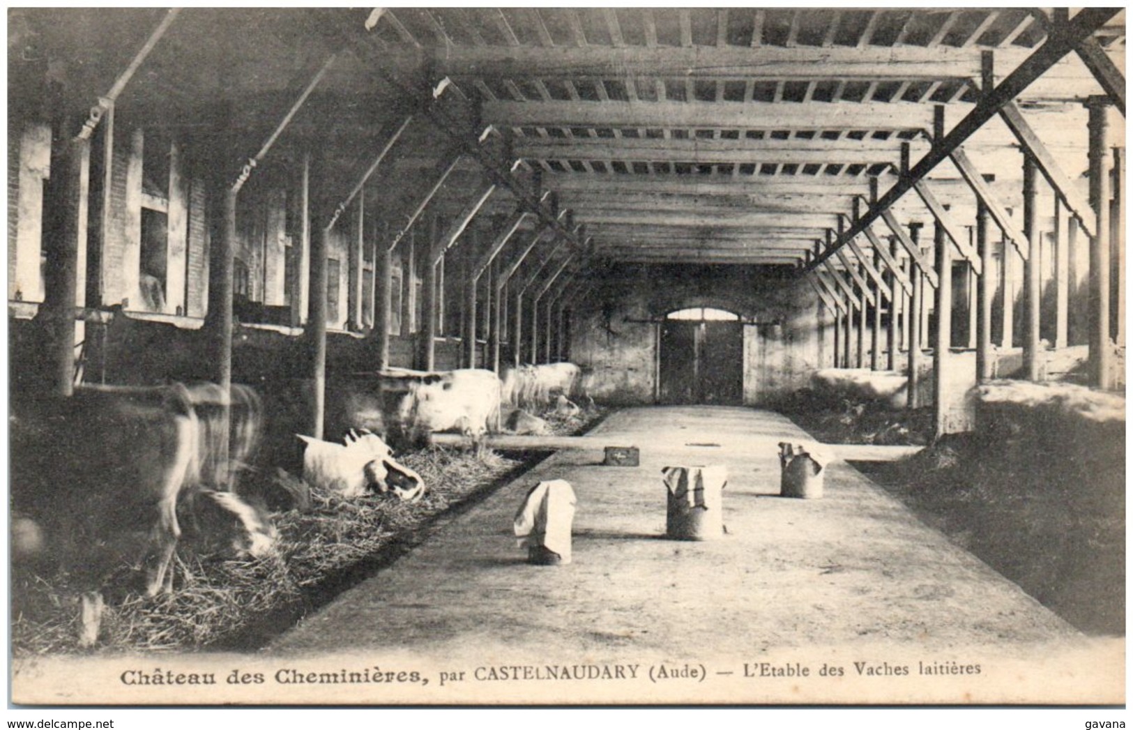 11 Château Des Cheminières, Par CASTELNAUDARY - L'étable Des Vaches Laitières - Andere & Zonder Classificatie