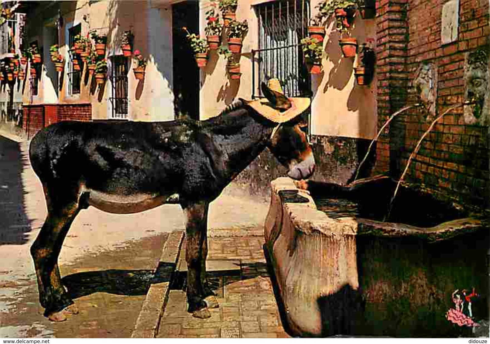 Animaux - Anes - Espagne - Malaga - Fontaine - Voir Scans Recto-Verso - Burros