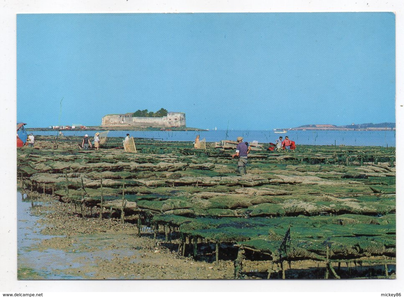 FOURAS--La Pointe De La Fumée Et Le Fort Enet-Pêcheurs Et Ostréicultures Dans Les Parcs (animée)...... à Saisir - Fouras-les-Bains