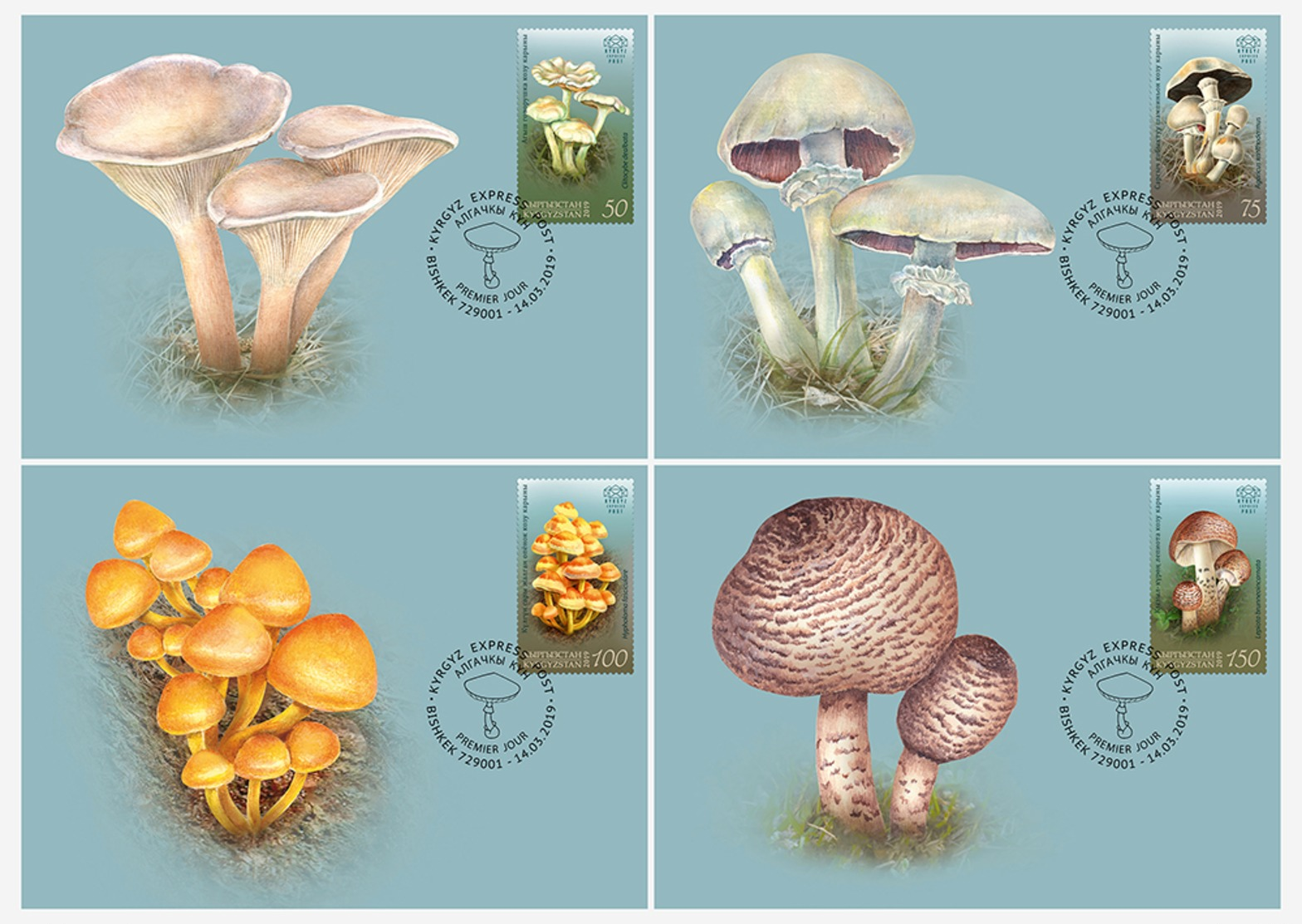 H01 Kyrgyzstan 2019 Mi# 121-124 Poisonous Mushrooms Pilze Postcards - Kirgisistan