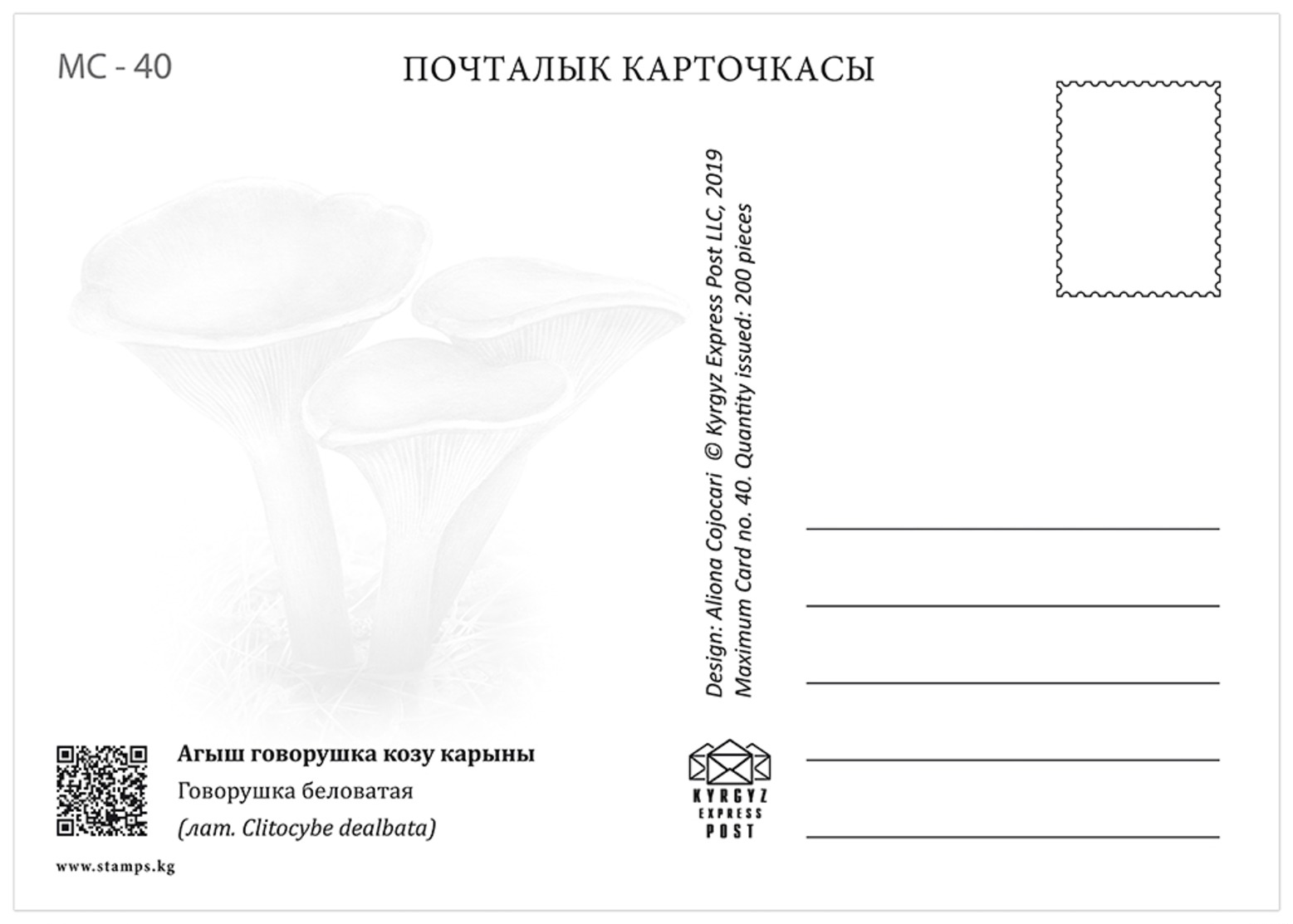 H01 Kyrgyzstan 2019 Mi# 121-124 Poisonous Mushrooms Pilze Postcards - Kirgisistan