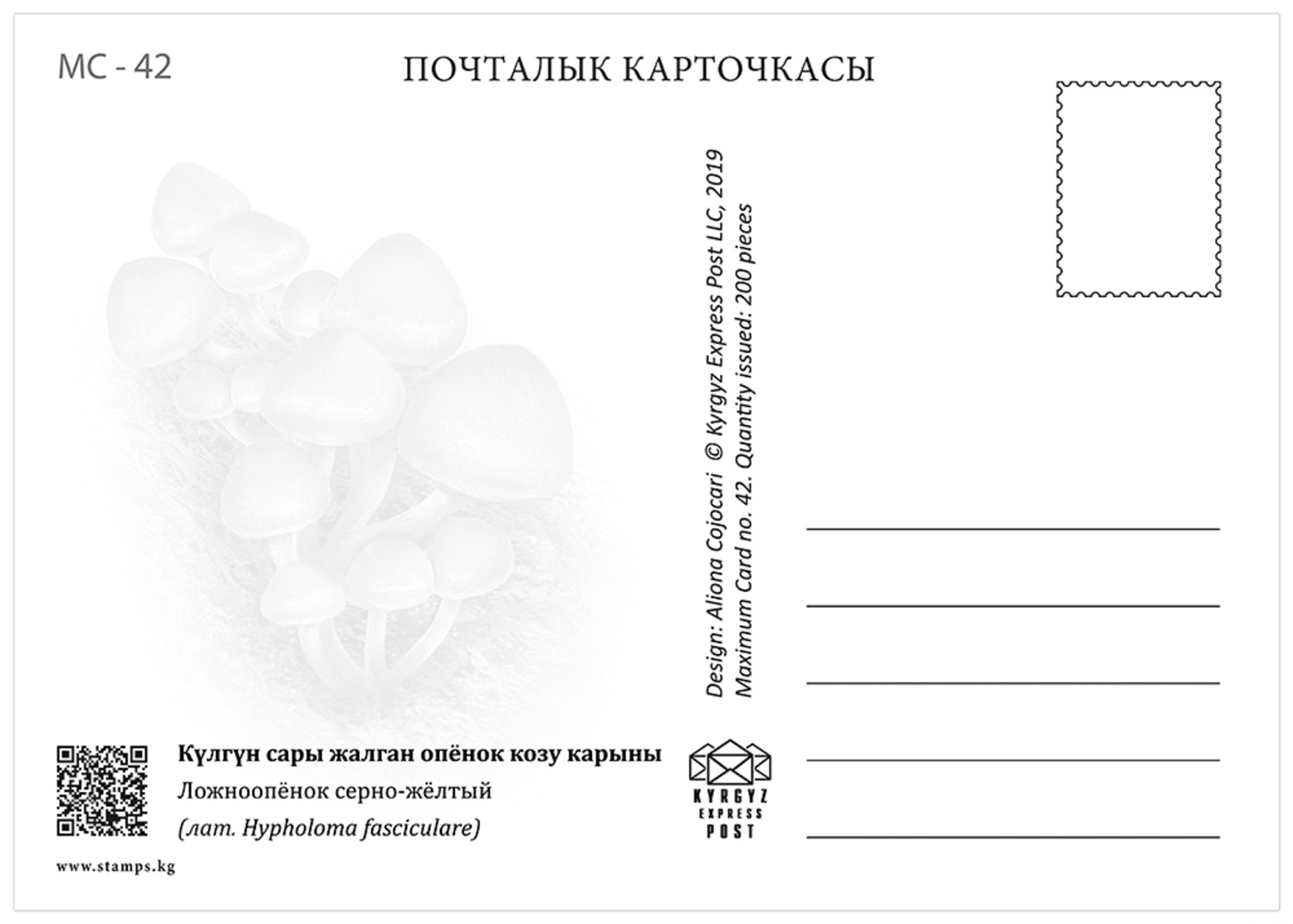 H01 Kyrgyzstan 2019 Mi# 121-124 Poisonous Mushrooms Pilze Postcards - Kirgisistan