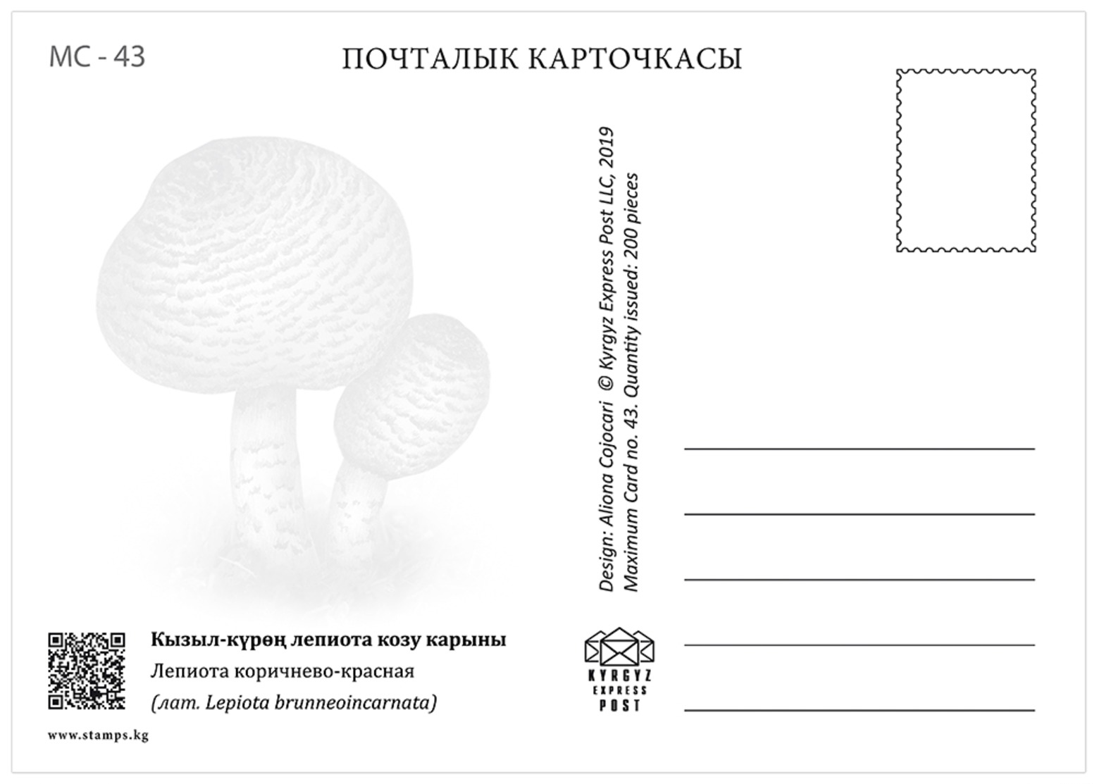 H01 Kyrgyzstan 2019 Mi# 121-124 Poisonous Mushrooms Pilze Postcards - Kirgisistan