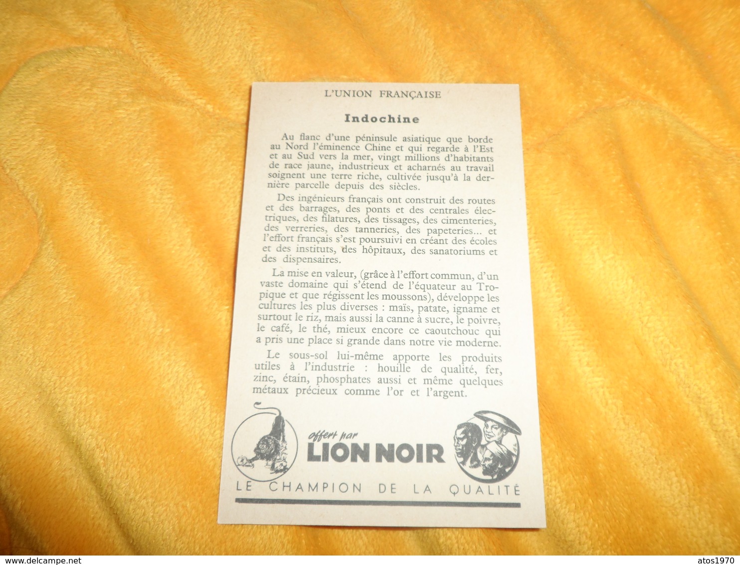 CHROMO OU IMAGE ANCIENNE DATE ?.../ UNION FRANCAISE L'INDOCHINE./ LION NOIR.. - Autres & Non Classés