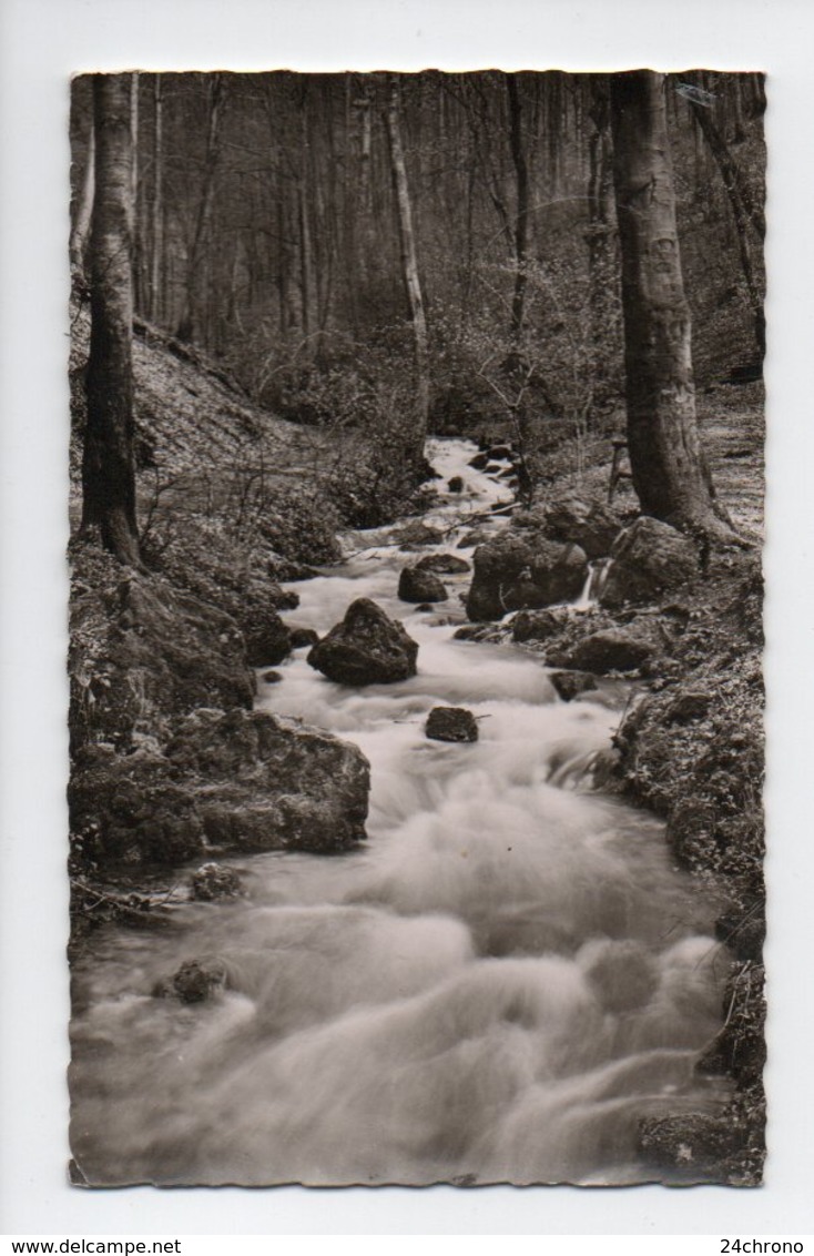 Allemagne: Bade Wurtemberg, Ostalbkreis, Kocherursprung (19-462) - Autres & Non Classés