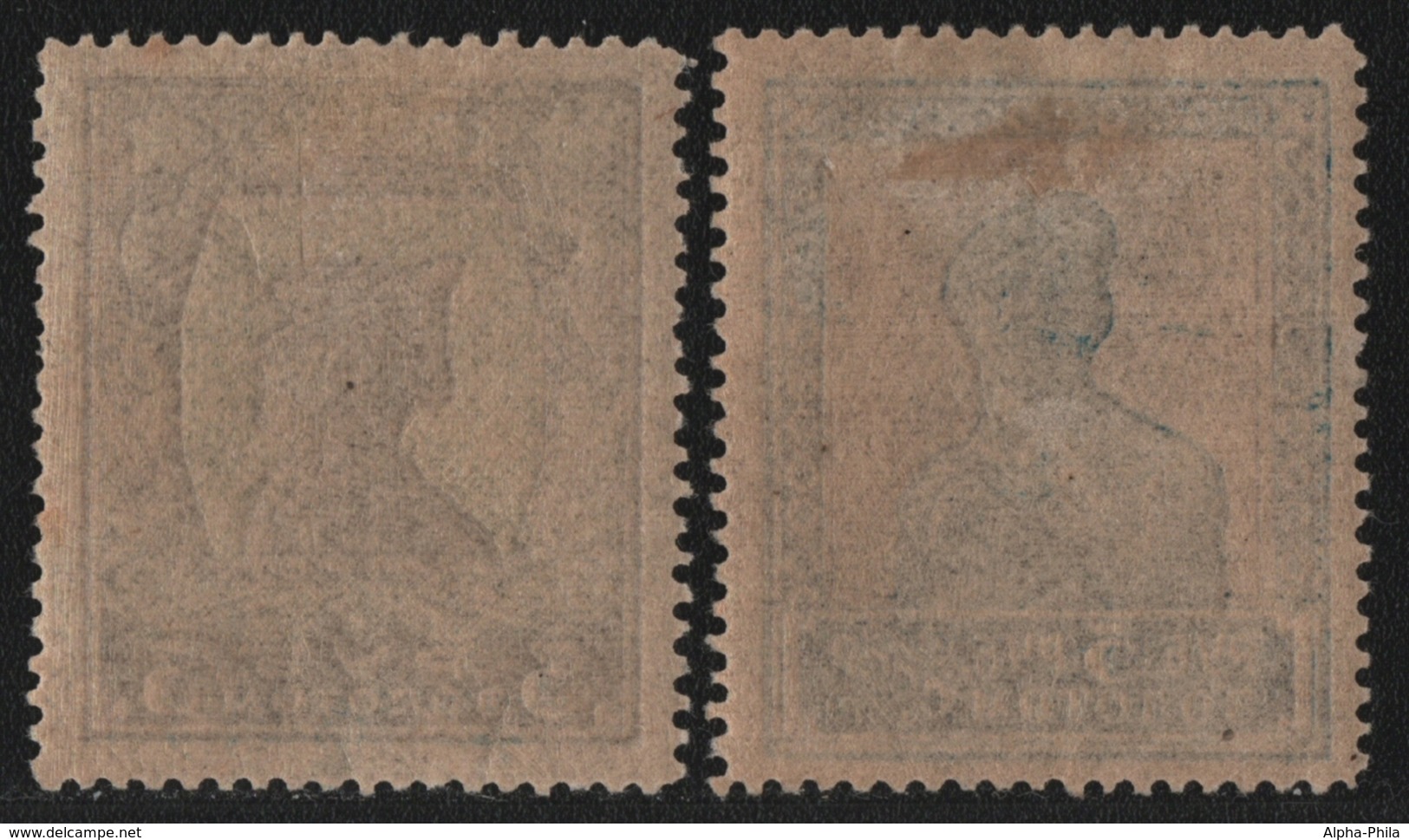 Russia / Sowjetunion 1925 - Mi-Nr. 260-261 I C * - MH - Gez. 13 1/2 - Freimarken - Unused Stamps