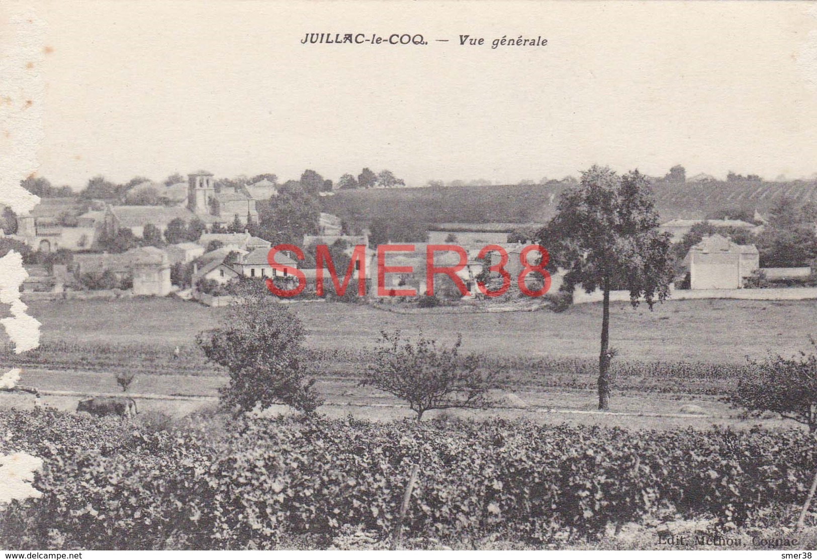 19 - Juillac Le Coq - Vue Générale - Juillac