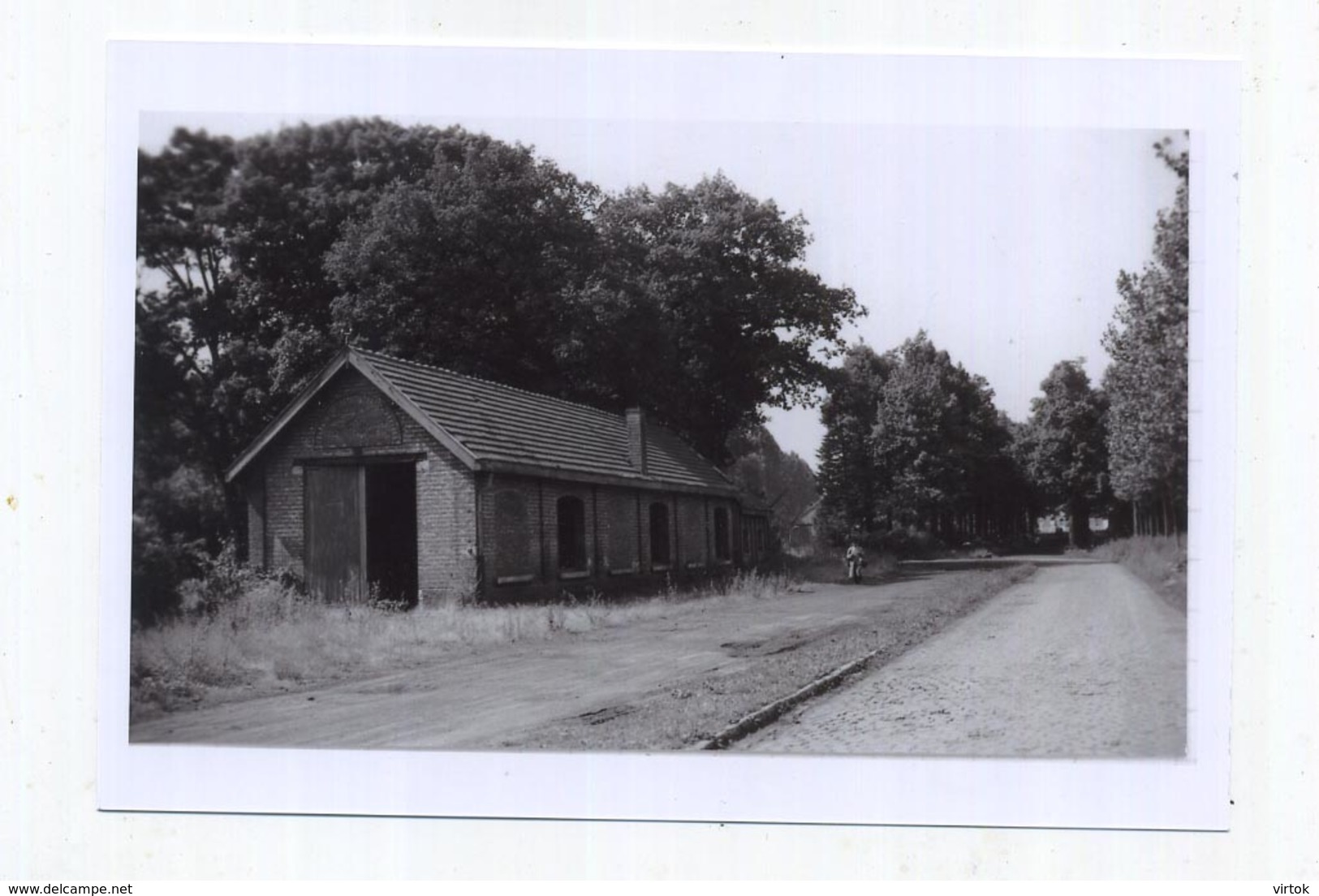 WESTERLO : Het Vroegere Treinstation - Gare Déferrée   :  Vicinale ( TRAM )  ( Foto Van Oude Cliché 1958 - 15 X 10 Cm ) - Westerlo