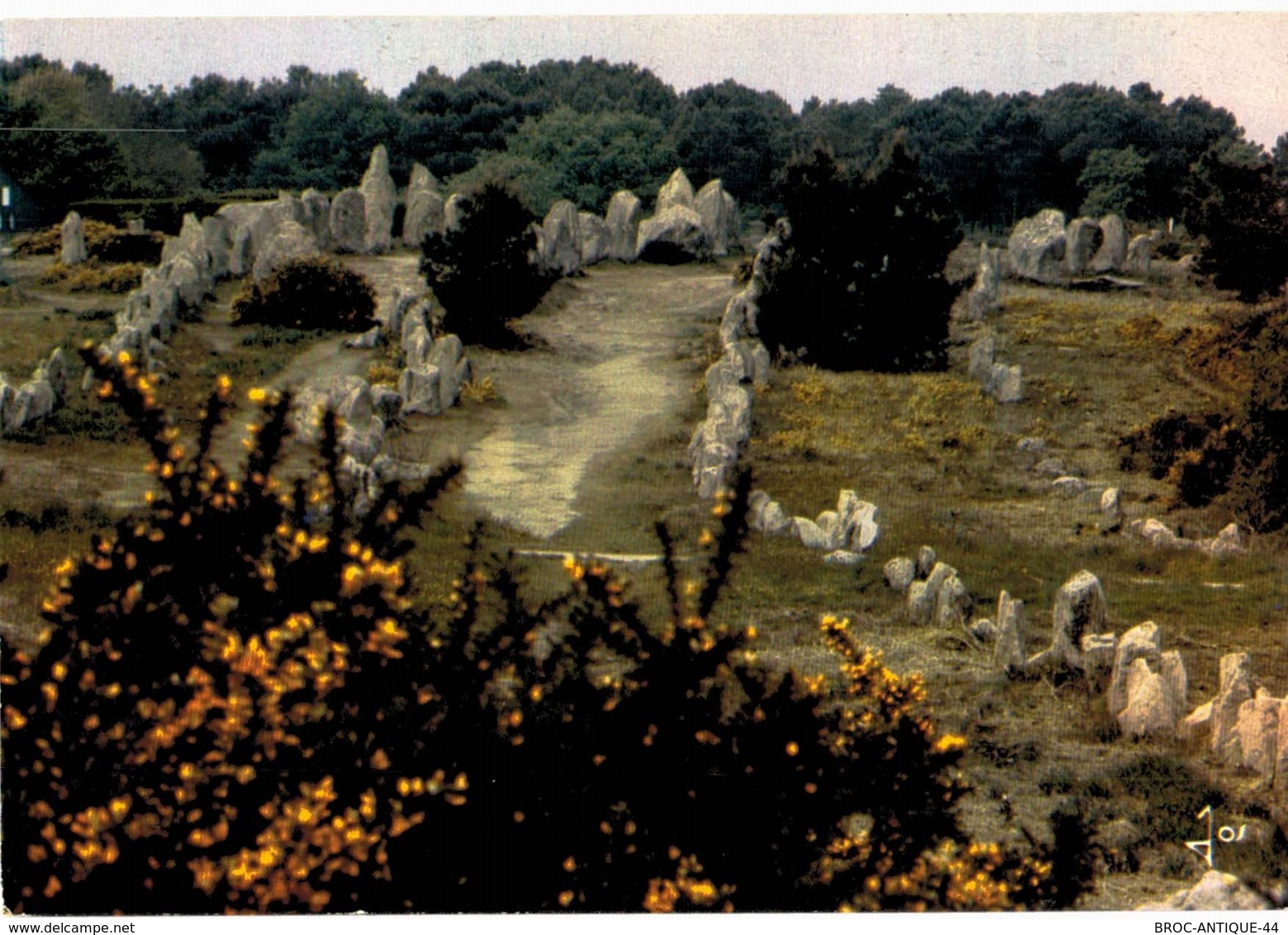 LOT N°1205 - LOT DE + 100 CARTES DE CARNAC - LES MENHIRS ET LES DOLMENS - BRETAGNE MEGALITHIQUE - Carnac