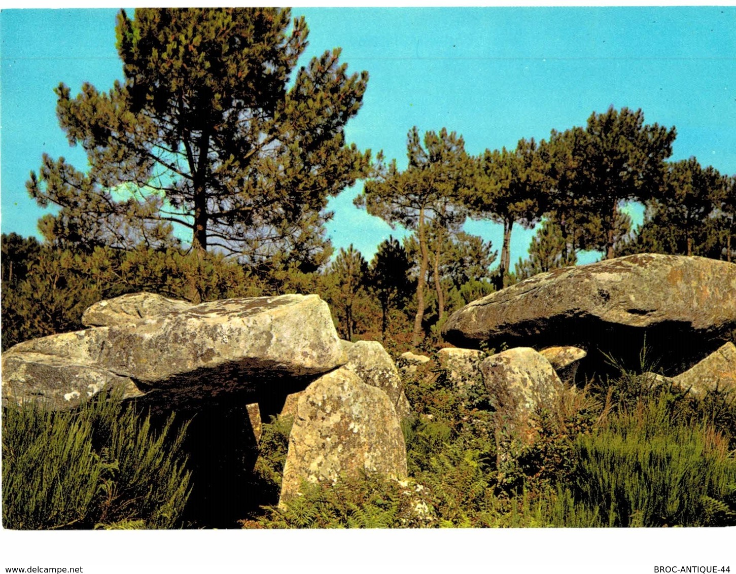 LOT N°1205 - LOT DE + 100 CARTES DE CARNAC - LES MENHIRS ET LES DOLMENS - BRETAGNE MEGALITHIQUE