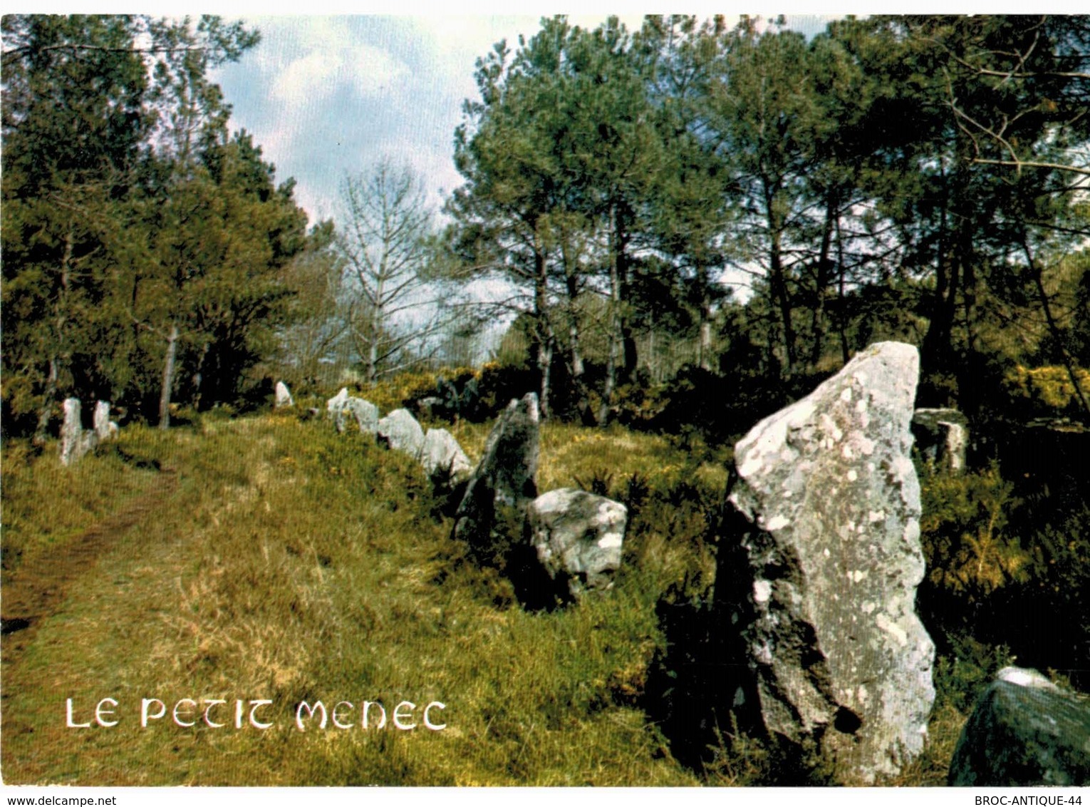 LOT N°1205 - LOT DE + 100 CARTES DE CARNAC - LES MENHIRS ET LES DOLMENS - BRETAGNE MEGALITHIQUE