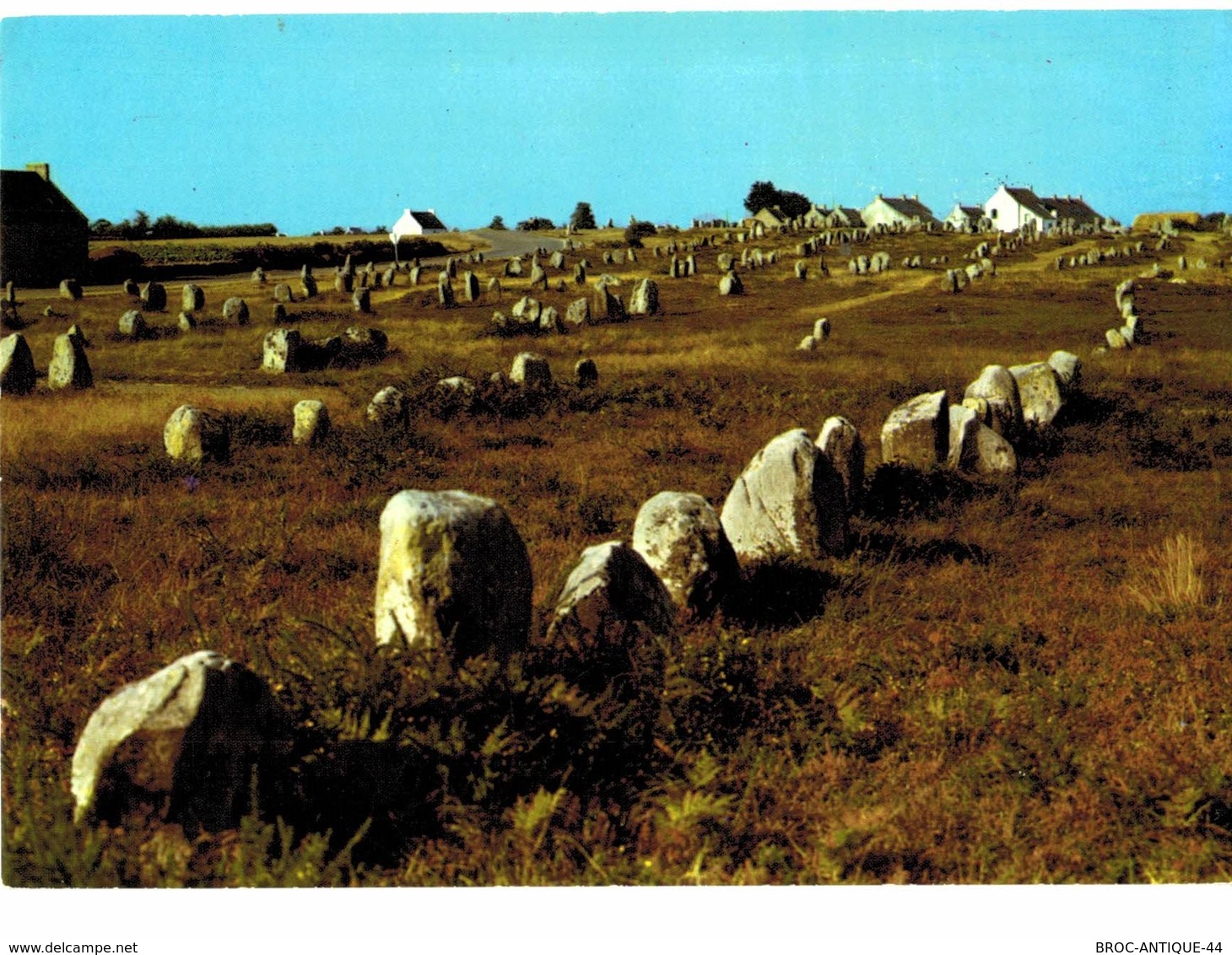 LOT N°1205 - LOT DE + 100 CARTES DE CARNAC - LES MENHIRS ET LES DOLMENS - BRETAGNE MEGALITHIQUE