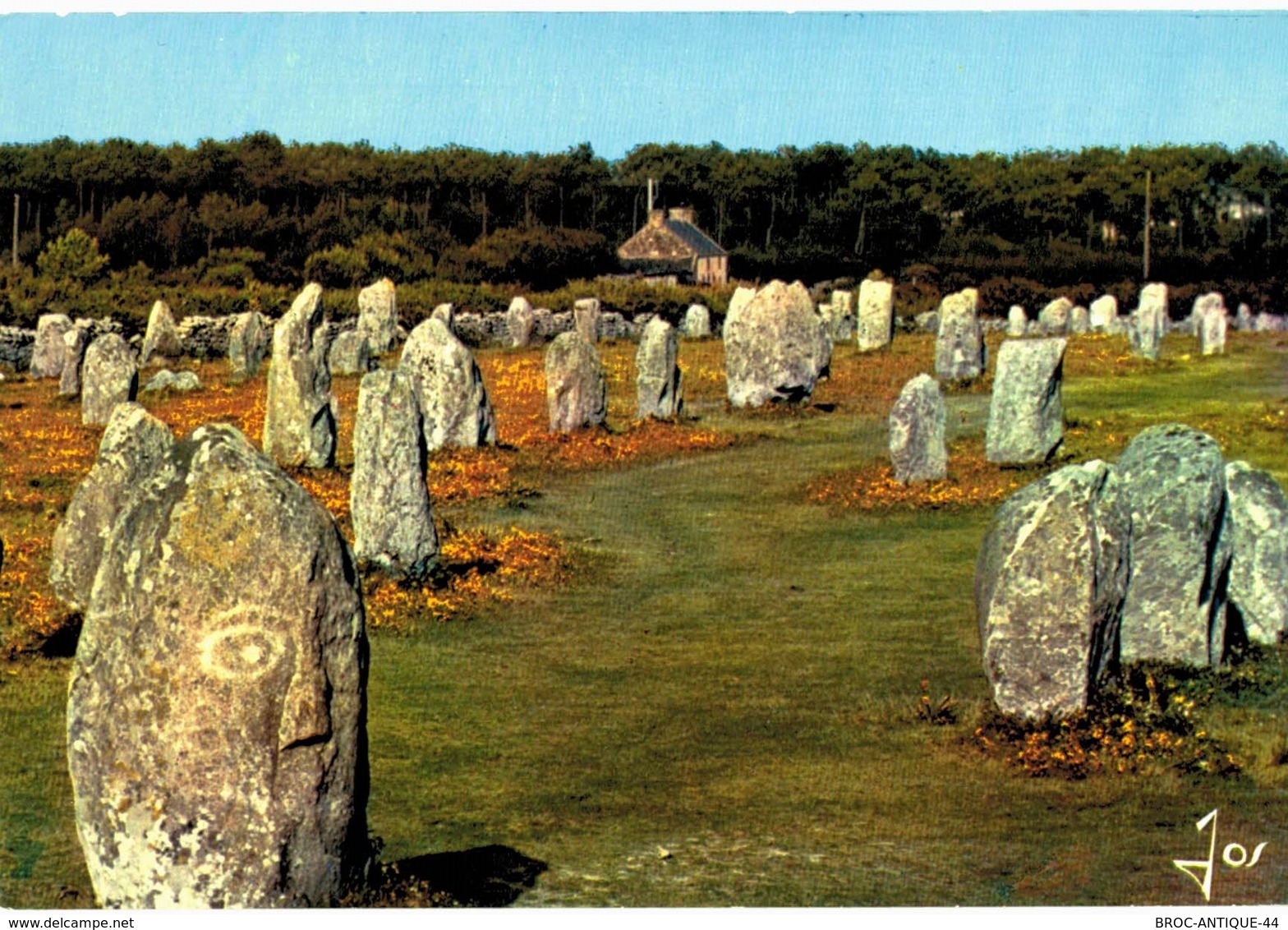 LOT N°1205 - LOT DE + 100 CARTES DE CARNAC - LES MENHIRS ET LES DOLMENS - BRETAGNE MEGALITHIQUE