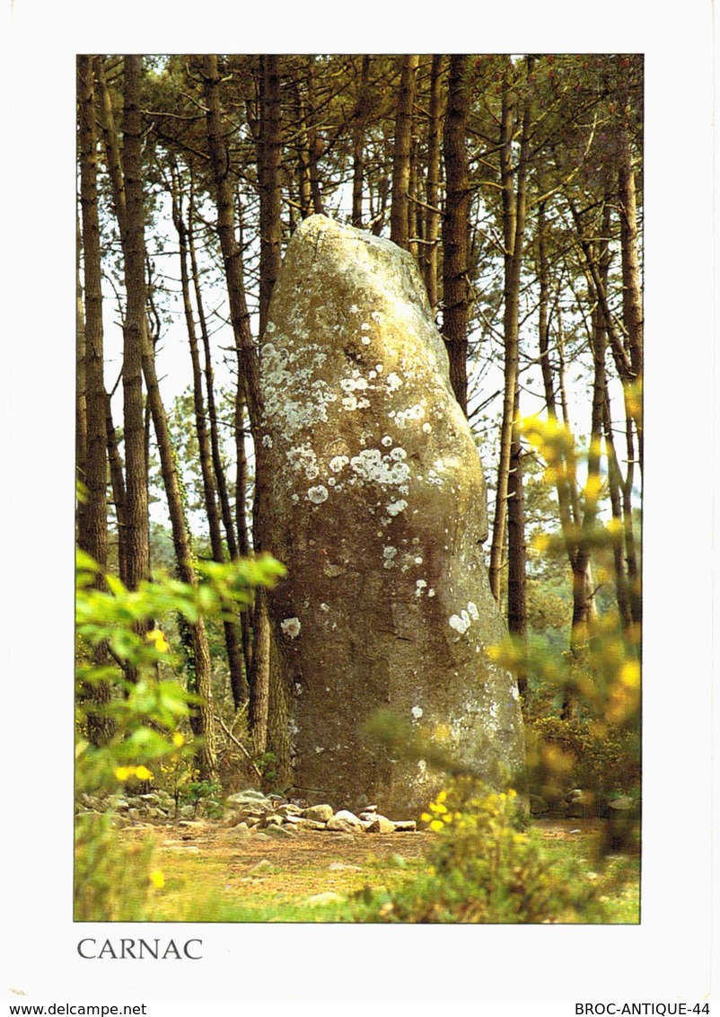 LOT N°1205 - LOT DE + 100 CARTES DE CARNAC - LES MENHIRS ET LES DOLMENS - BRETAGNE MEGALITHIQUE