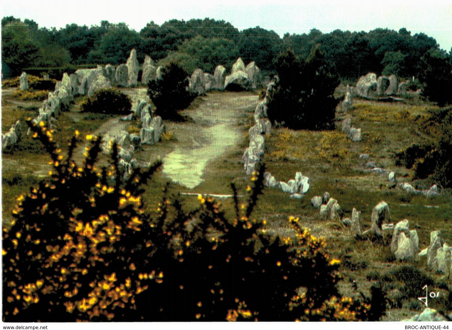 LOT N°1205 - LOT DE + 100 CARTES DE CARNAC - LES MENHIRS ET LES DOLMENS - BRETAGNE MEGALITHIQUE