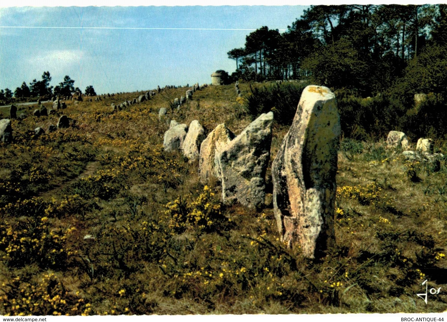 LOT N°1205 - LOT DE + 100 CARTES DE CARNAC - LES MENHIRS ET LES DOLMENS - BRETAGNE MEGALITHIQUE