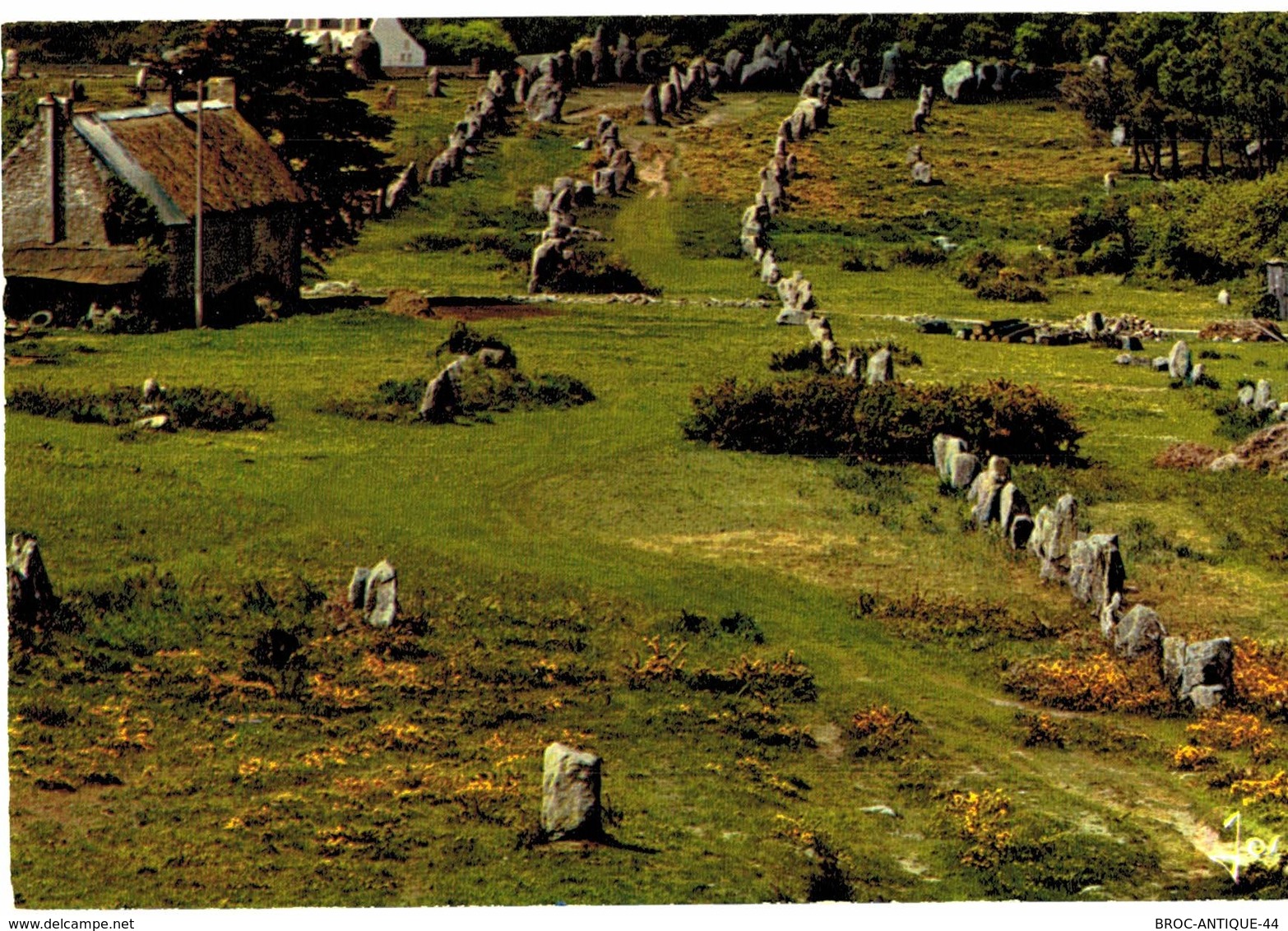 LOT N°1205 - LOT DE + 100 CARTES DE CARNAC - LES MENHIRS ET LES DOLMENS - BRETAGNE MEGALITHIQUE