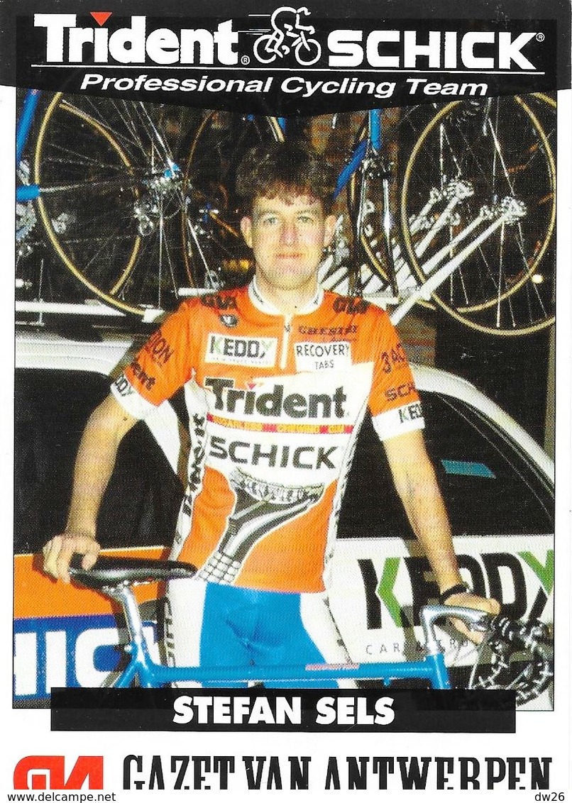 Cycliste: Stefan Sels, Equipe De Cyclisme Professionnel: Team Trident Schick, Belgique 1994 - Sports