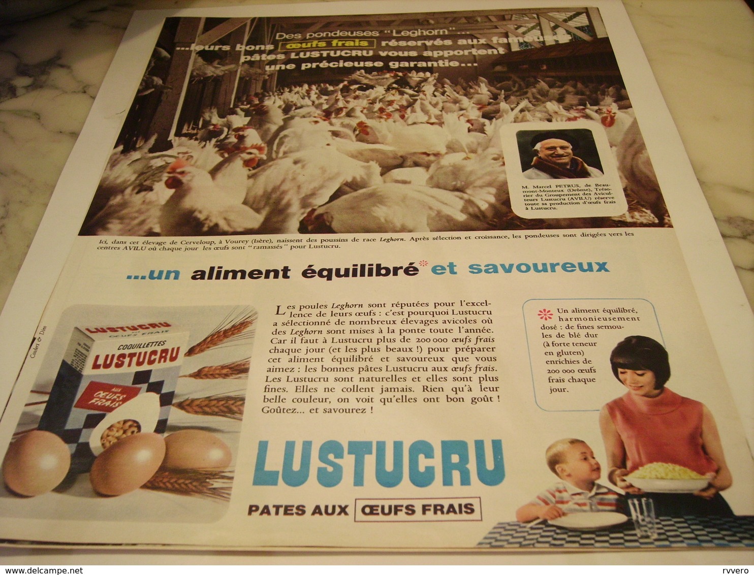 ANCIENNE PUBLICITE PATE ALIMENTAIRE DES  OEUF FRAIS DANS LUSTUCRU 1965 - Autres & Non Classés