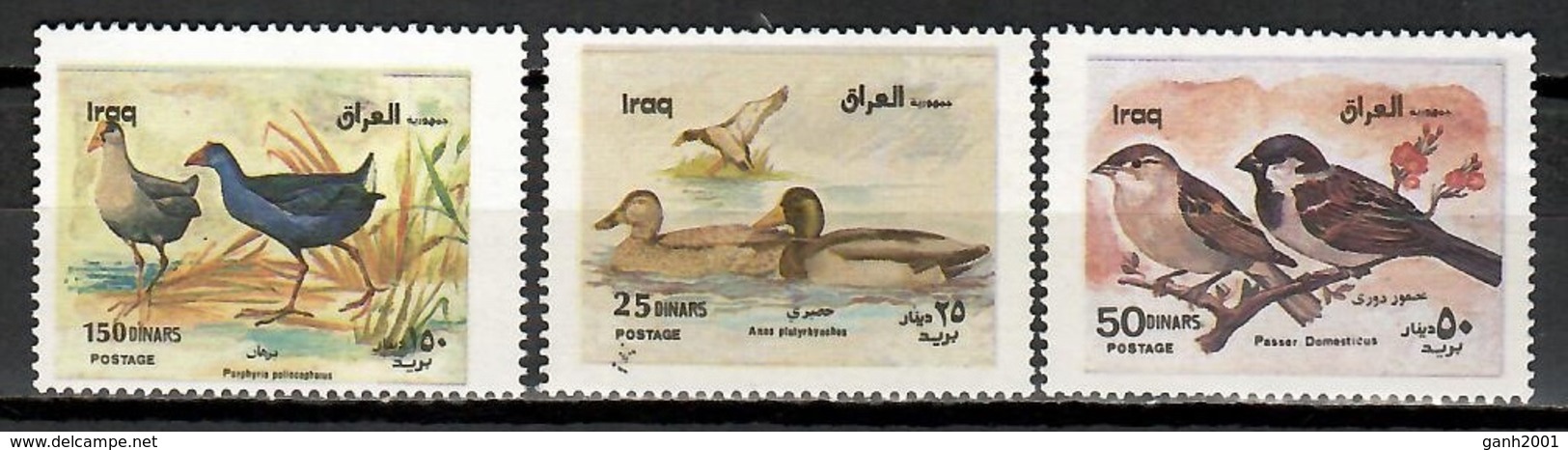 Iraq 2000 / Birds MNH Vögel Aves Oiseaux / Cu11920  C5-8 - Autres & Non Classés