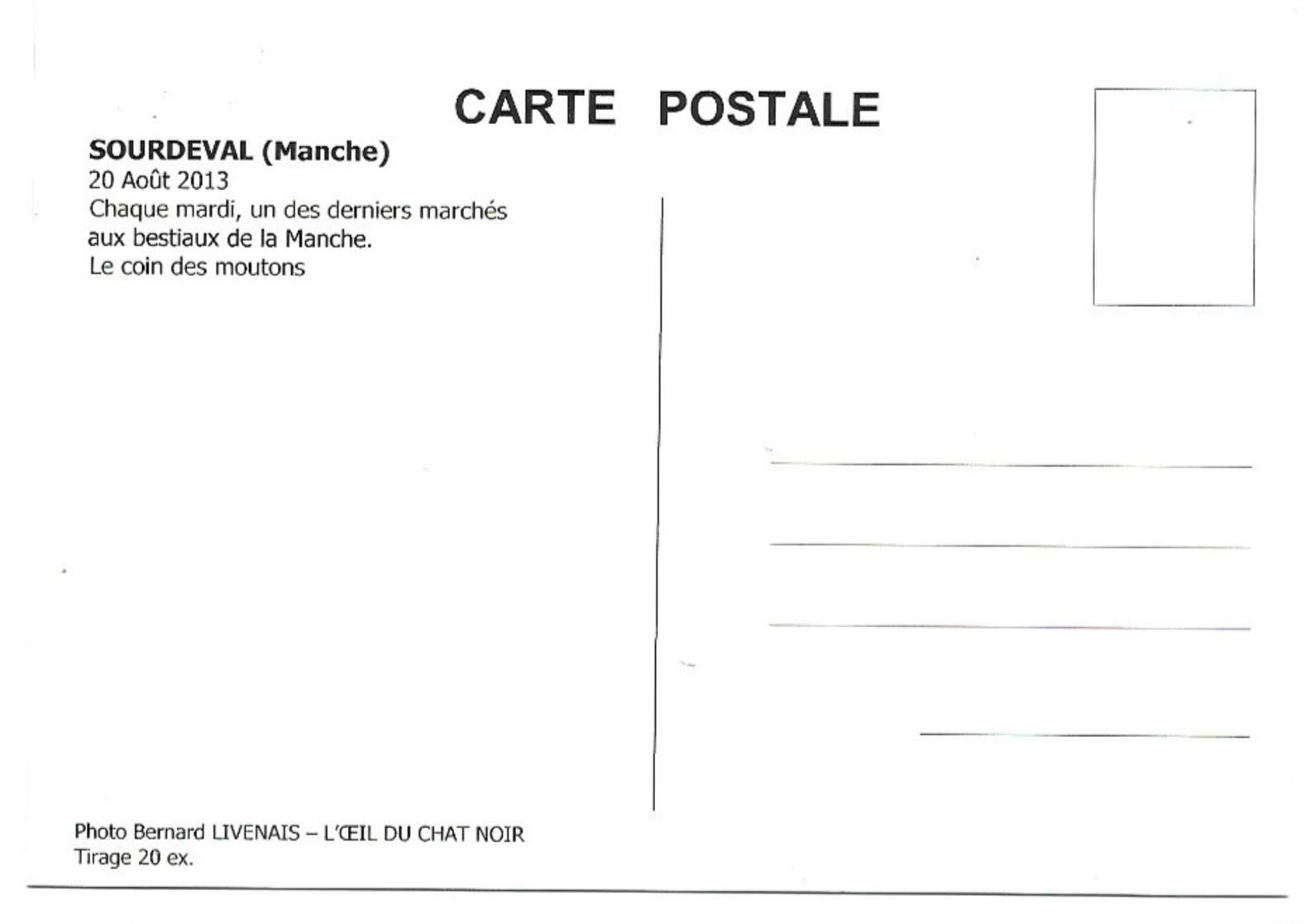 Sourdeval 20 Aout 2013 Chaque Mardi, Un Des Derniers Marchés Aux Bestiaux De La Manche Le Coin Des Moutons - Autres & Non Classés