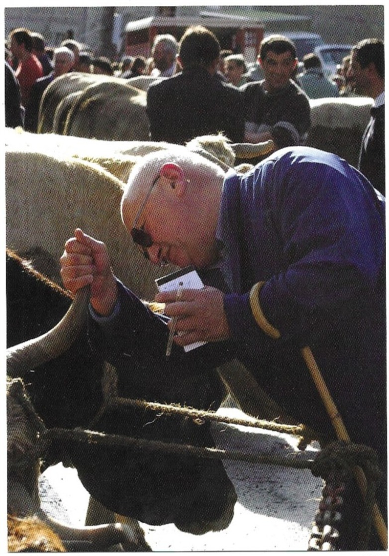 Nasbinals Foire De Nasbinals J. Davy Examine Une Vache Aout 2005 Photo Jean-Louis Maurin N° 291 - Autres & Non Classés