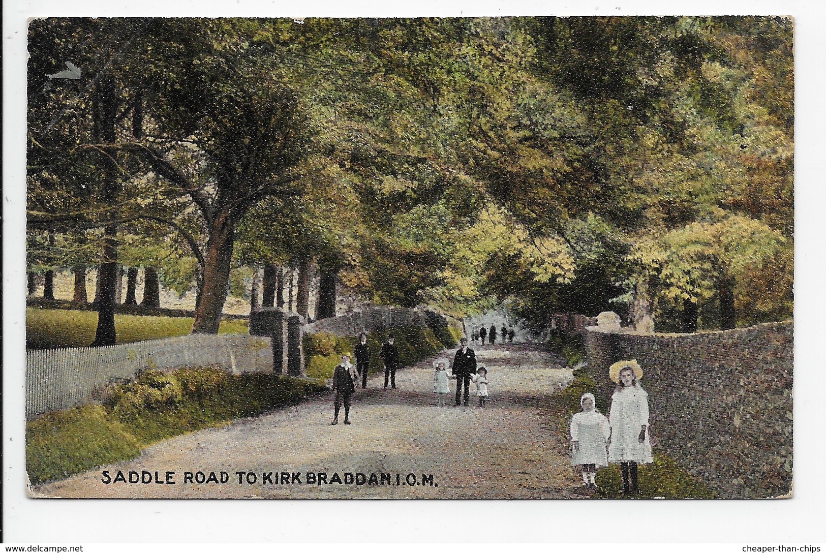 Saddle Road To Kirk Braddan, I.O.M. - Hough - Isle Of Man