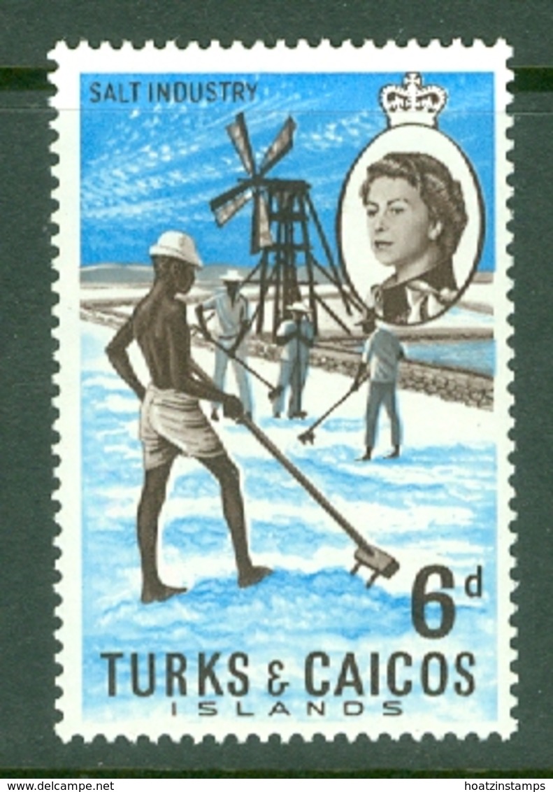 Turks & Caicos Is: 1967   QE II Pictorials   SG279   6d   MH - Turks And Caicos