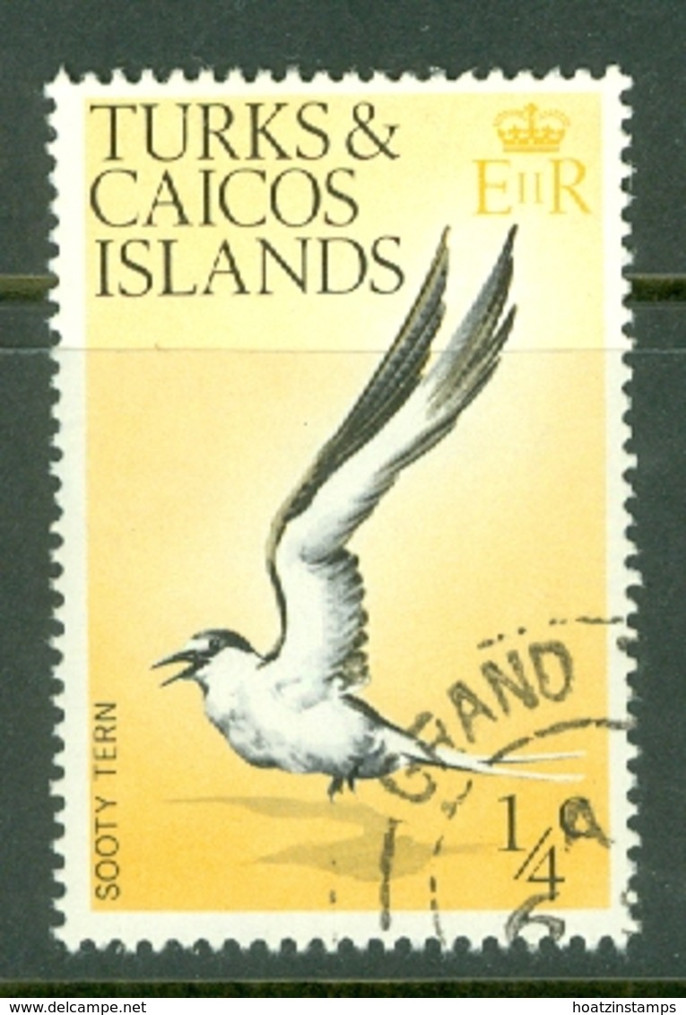 Turks & Caicos Is: 1973   Birds   SG381    ¼c    Used - Turks And Caicos