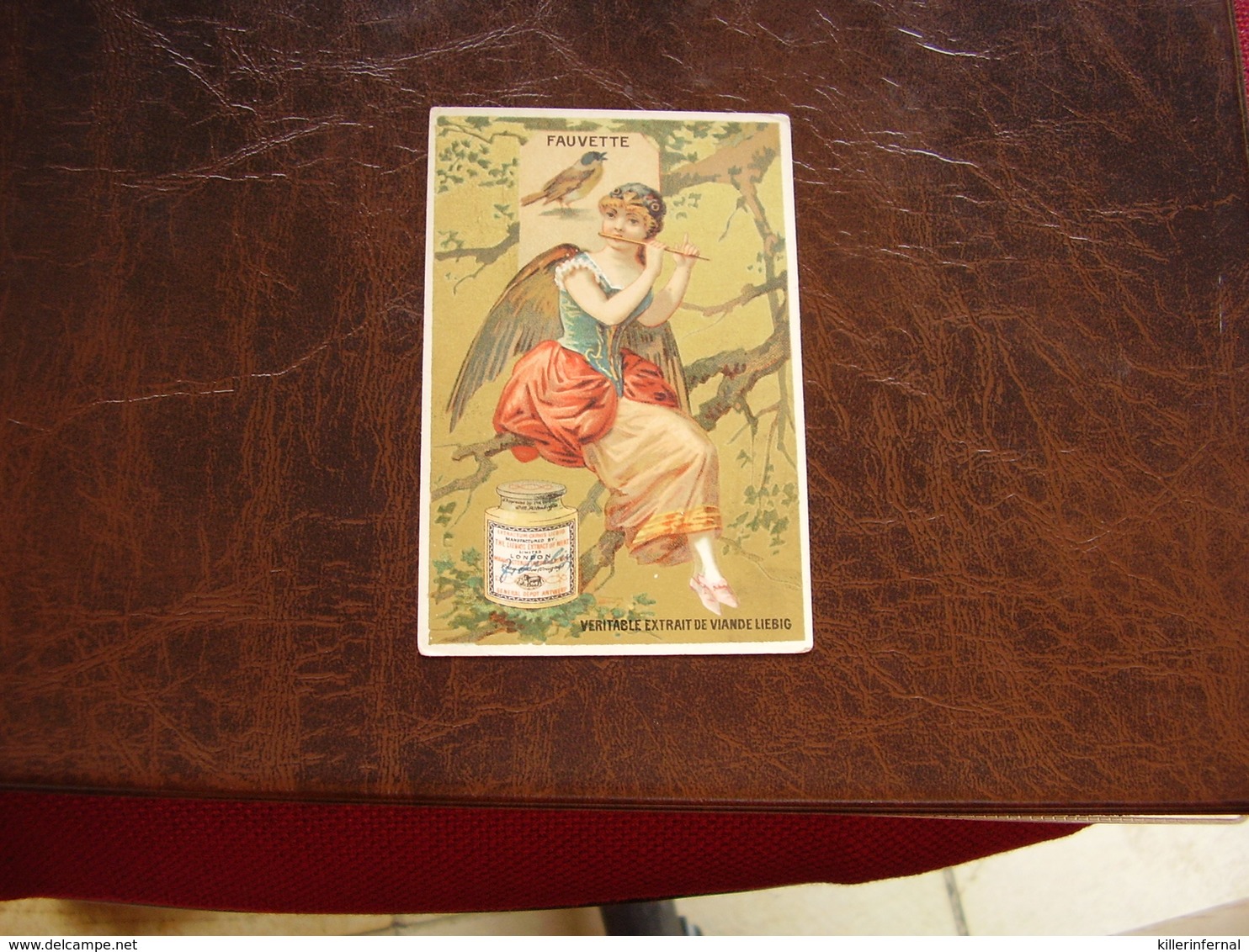 Liebig Old Card Chromo S 164 Femme Oiseau - Liebig