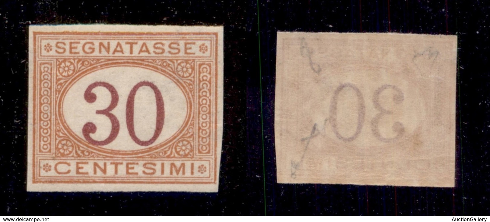 REGNO D'ITALIA - SERVIZI - 1890 - Segnatasse - 30 Cent (23g) Non Dentellato - Gomma Integra - Fiecchi + Cert AG (8.250) - Sonstige & Ohne Zuordnung