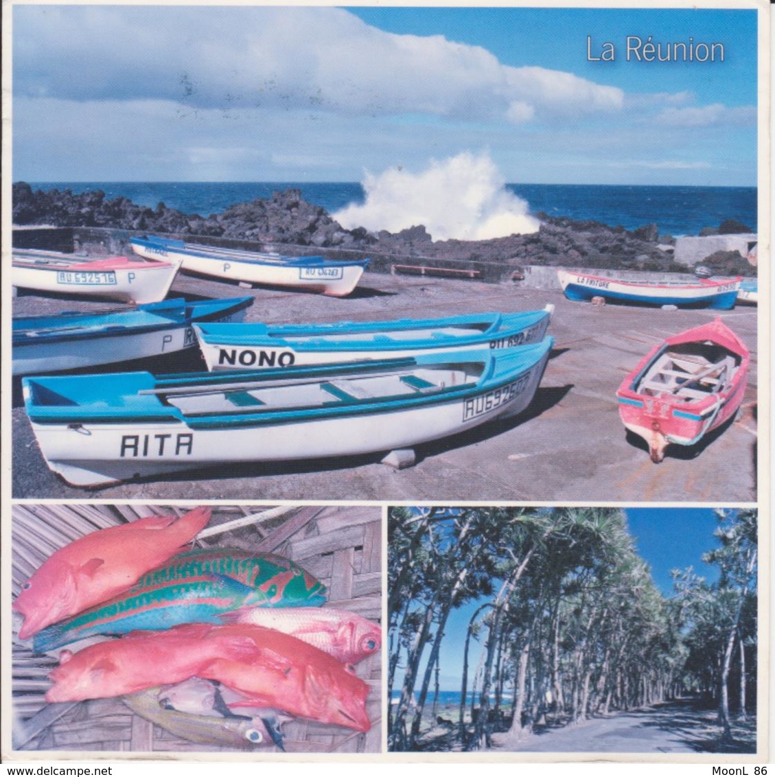 974 - ILE DE LA REUNION - L'OCEAN INDIEN - LES BARQUES DU PORT DE ST PHILIPPE  - POISSONS ROUGES VACOAS - Autres & Non Classés