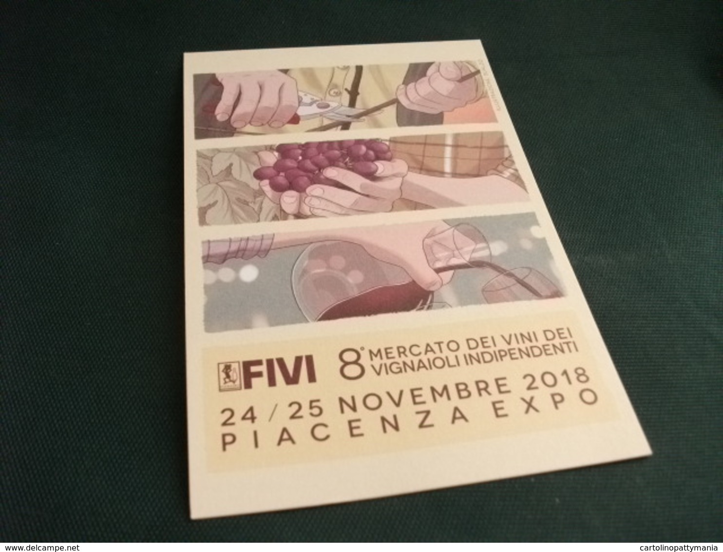 FIVI 8° MERCATO DEI VINI DEI VIGNAIOLI INDIPENDENTI PIACENZA EXPO 2018 - Viñedos