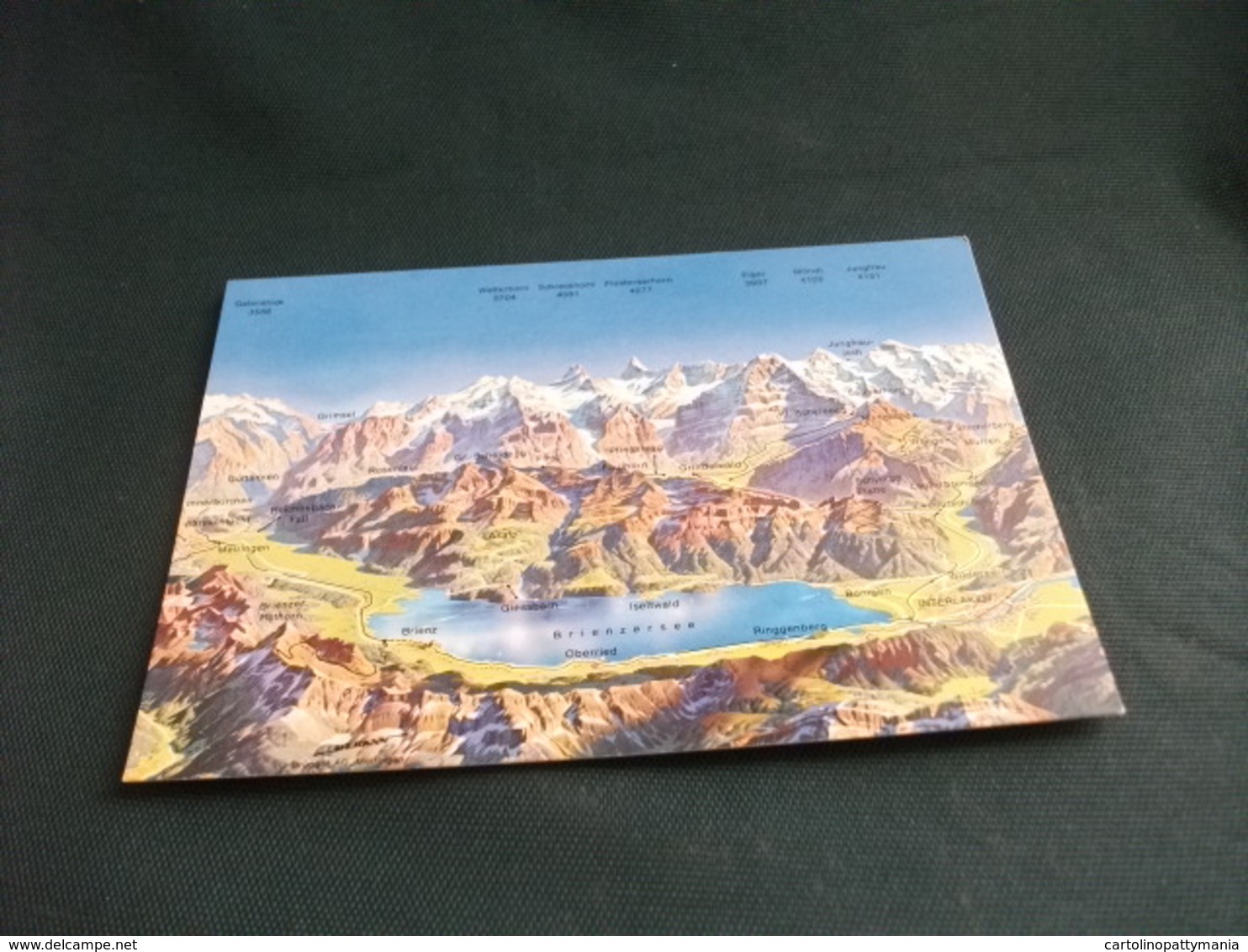 CARTA GEOGRAFICA SUISSE SWITZERLAND SCHWEIZ SVIZZERA BERNER OBERLAND BRIENZERSEE JUNGFRAUREGION   LAGO - Carte Geografiche