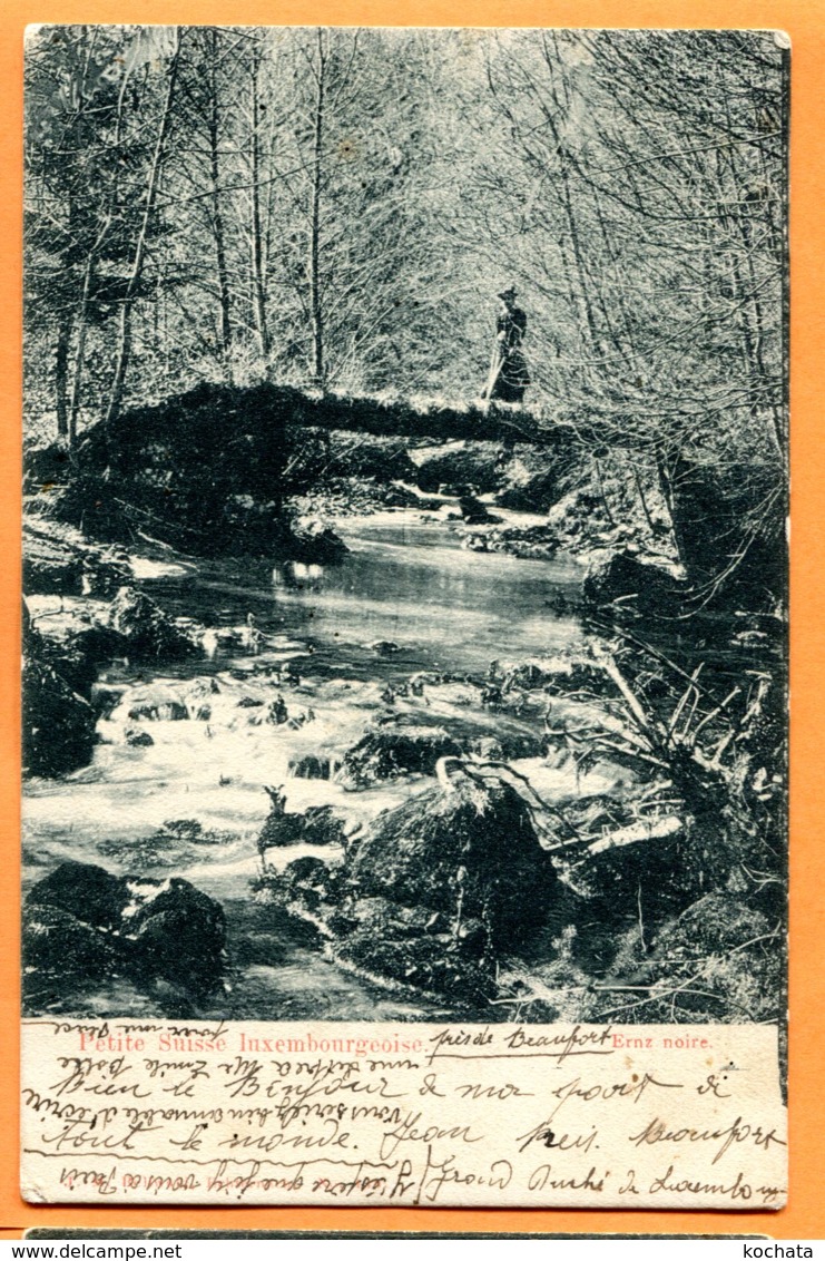 HA704, Petite Suisse Luxembourgeoise, Animée, Précurseur, Circulée 1911 - Müllerthal