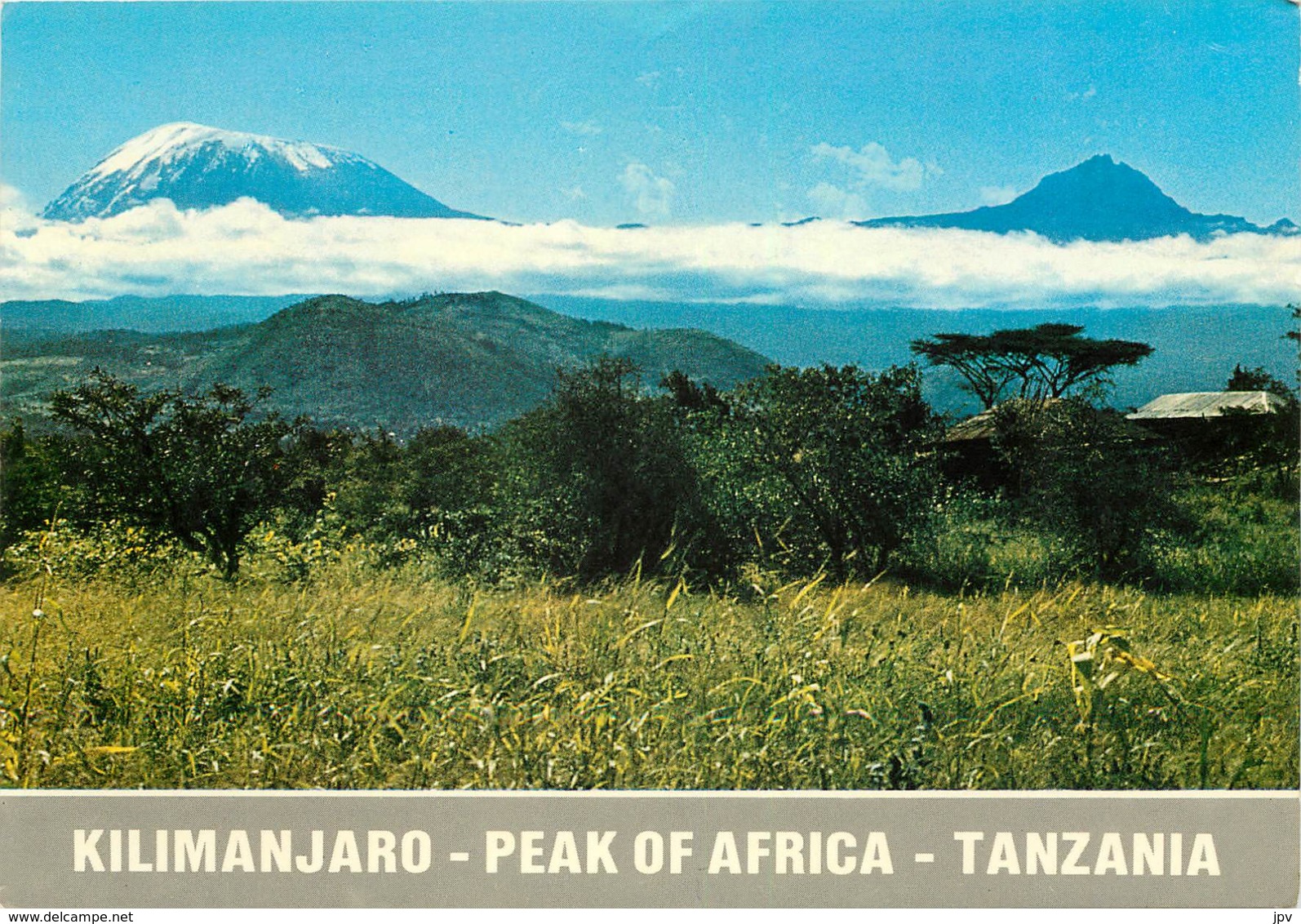 KILIMANJARO - TANZANI - - Tanzania