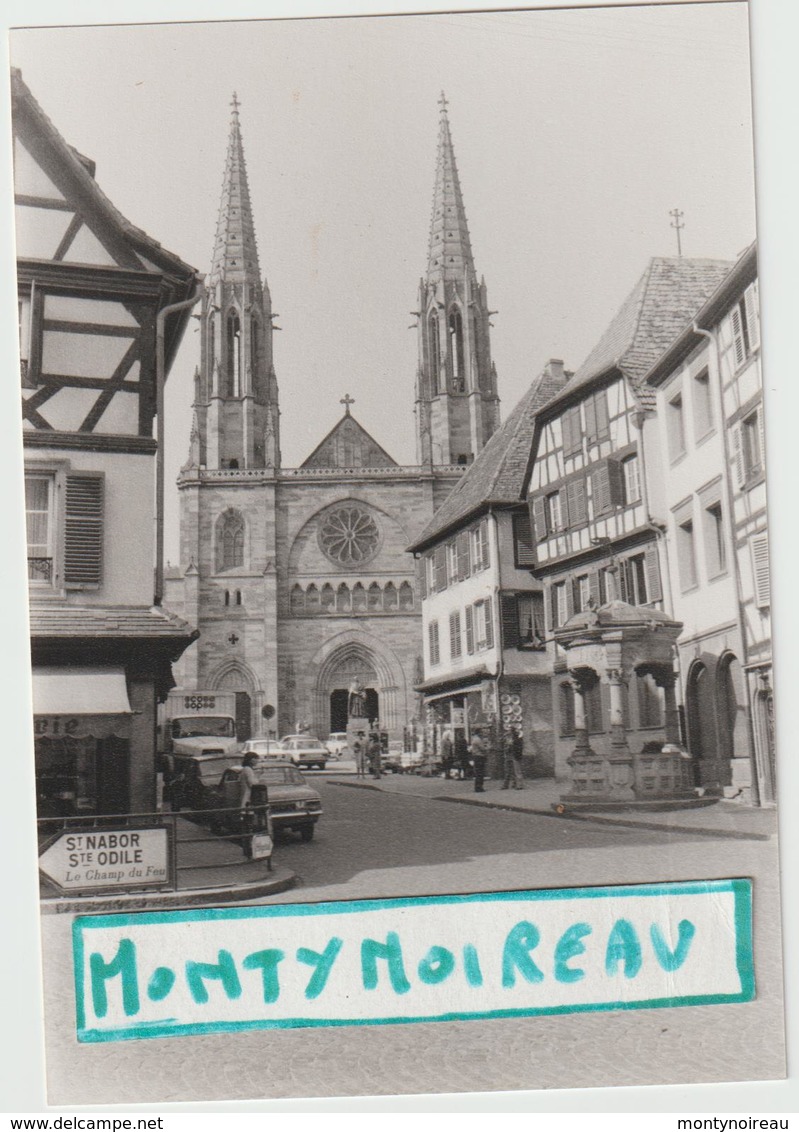 Vieux Papier  :   , Photo   Alsace , Bas Ou  Haut  Rhin , Riquewhir ?    Prés St Nabor , Ste Odile - Non Classés