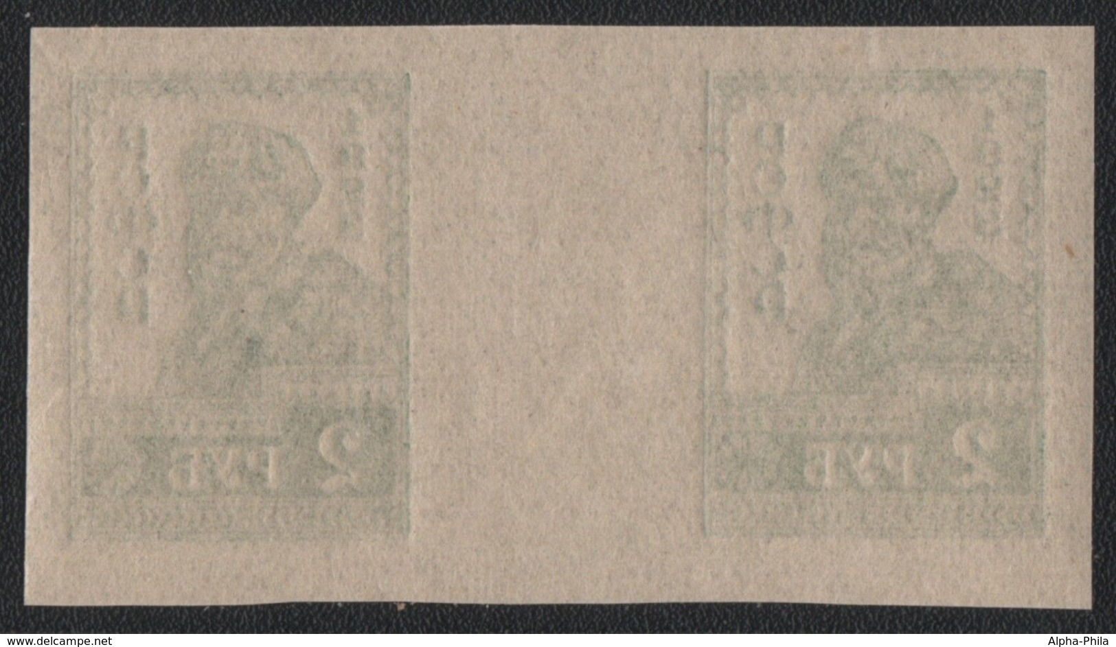 Russia / RSFSR 1923 - Mi-Nr. VI B ** - MNH - Stegpaar - Waagerecht - Nuevos