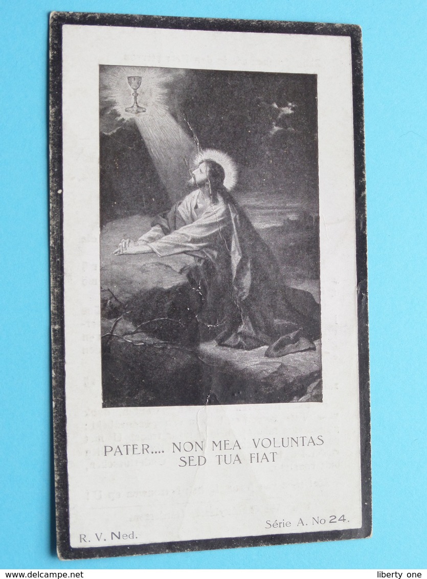 DP Damiaan DE MAN ( Francisca De Mulder ) Baasrode 23 Maart 1855 - Herdersem 27 Nov 1933 ( Zie Foto's) ! - Obituary Notices