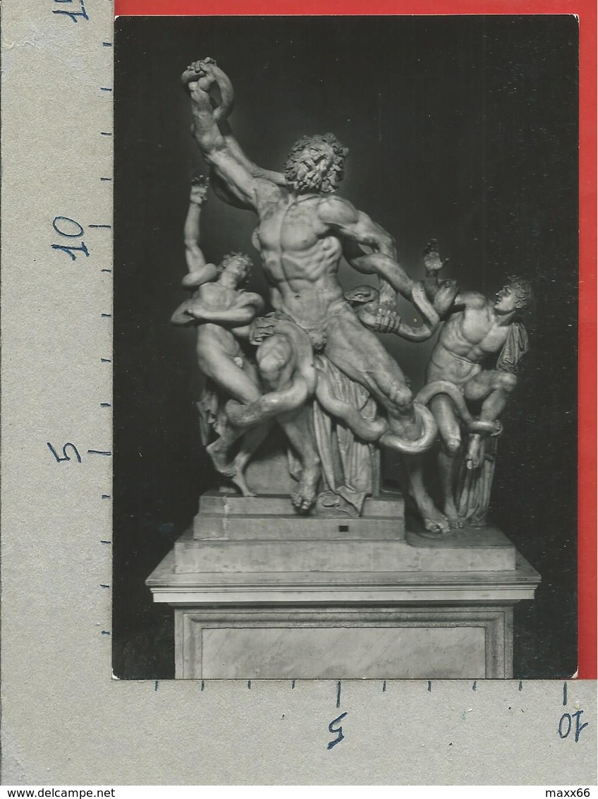 CARTOLINA NV VATICANO - Museo Pio Clementino - Laocoonte - 10 X 15 - Vaticano