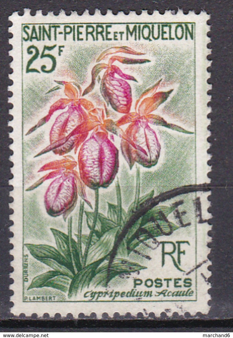 Saint Pierre Et Miquelon Fleurs Cypipredium Acaule N°362 Oblitéré - Used Stamps