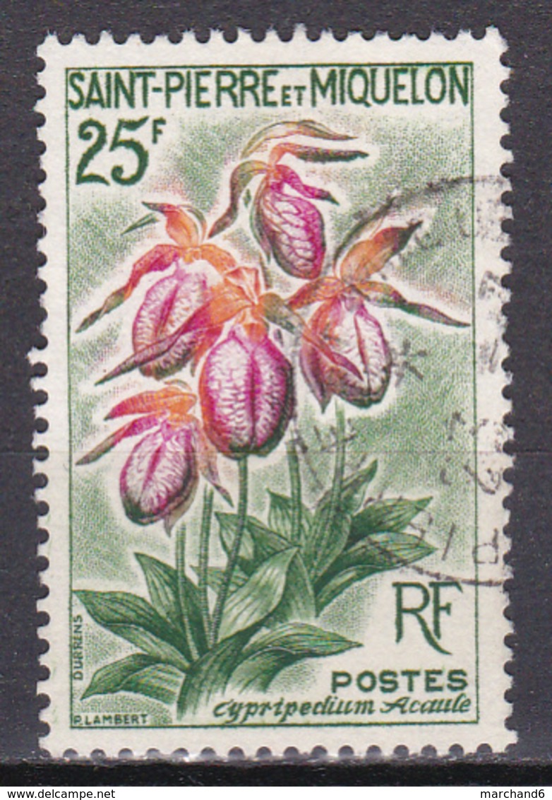 Saint Pierre Et Miquelon Fleurs Cypipredium Acaule N°362 Oblitéré - Usati